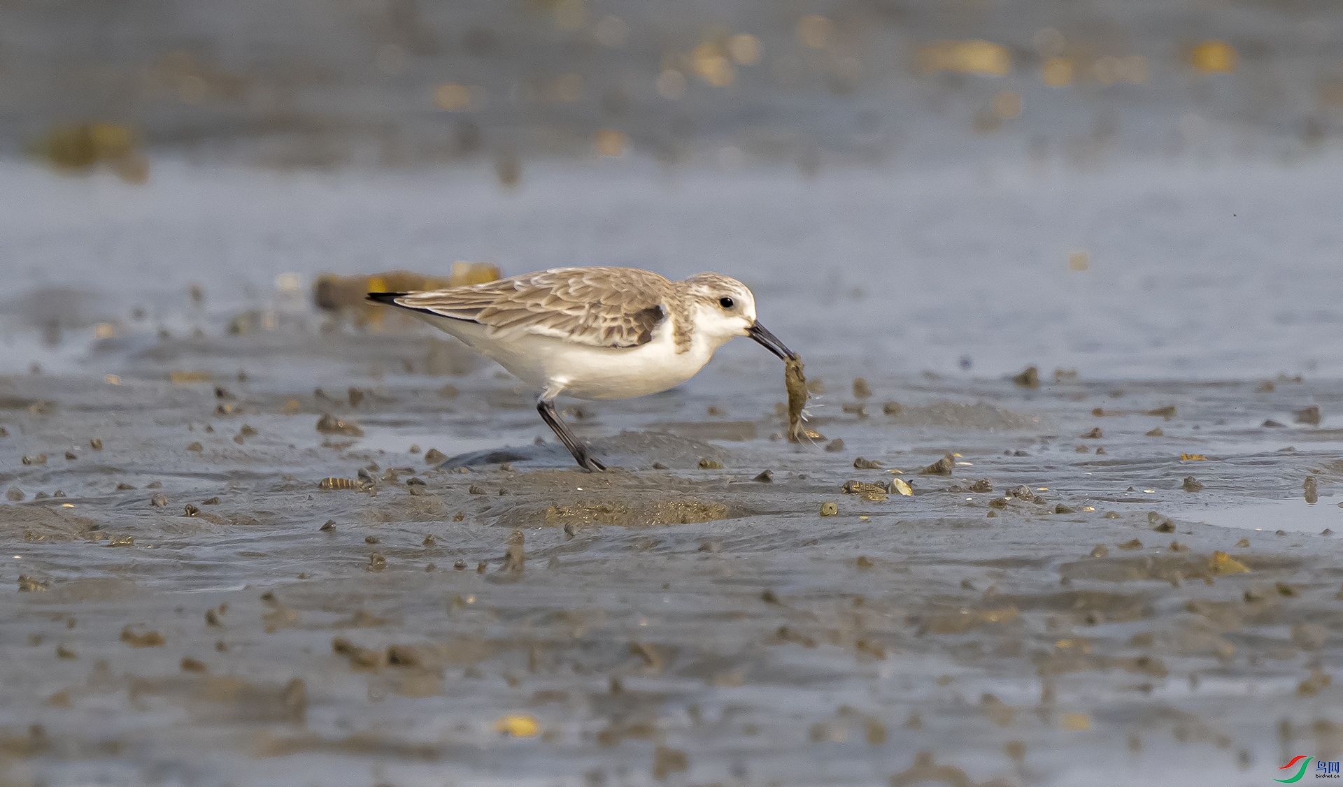 ��Ŀ ׽Ϻ��������һ������֣�����ֻ���18051585735.jpg