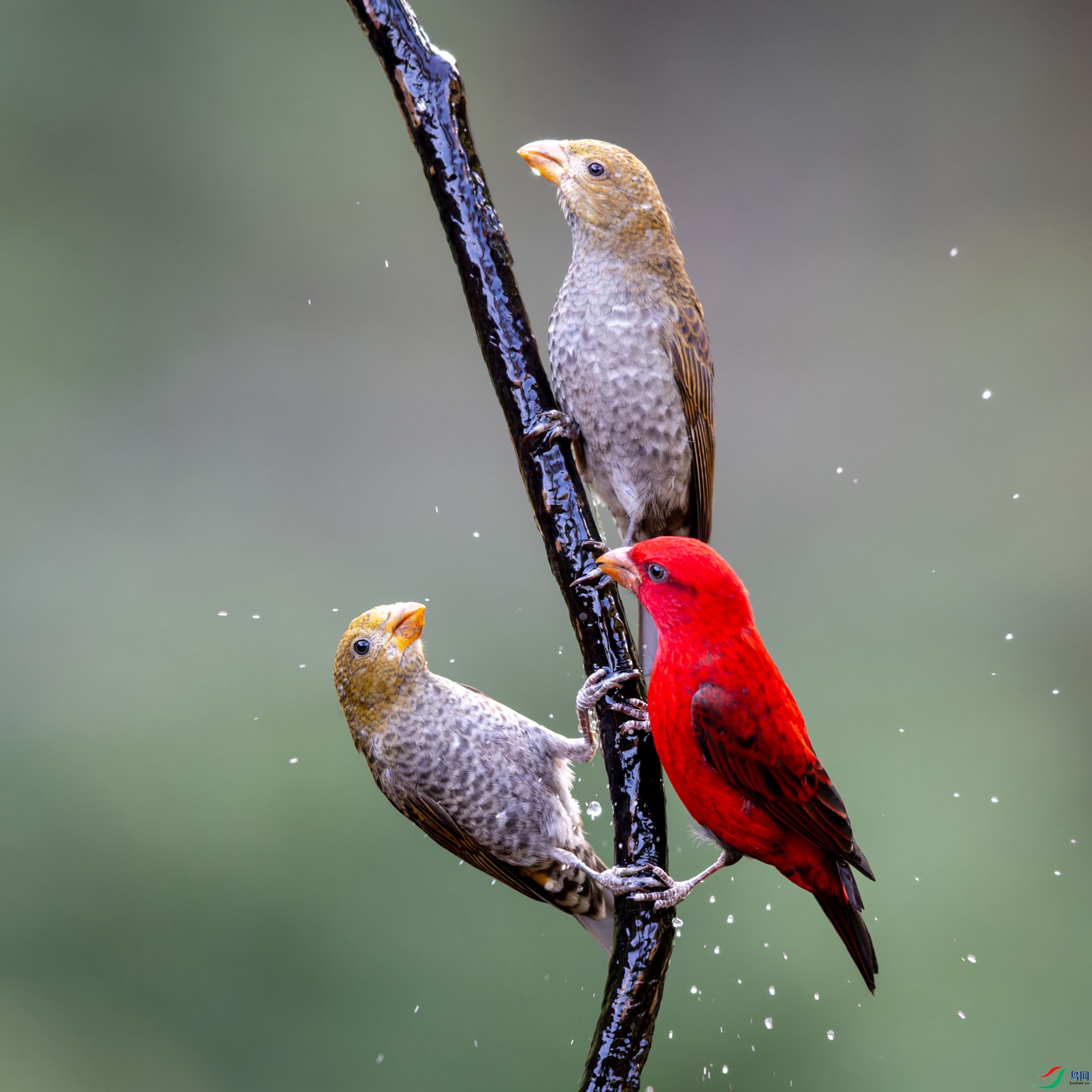 _R2I5116-CR2_DxO_DeepPRIMEXD-2-1.jpg