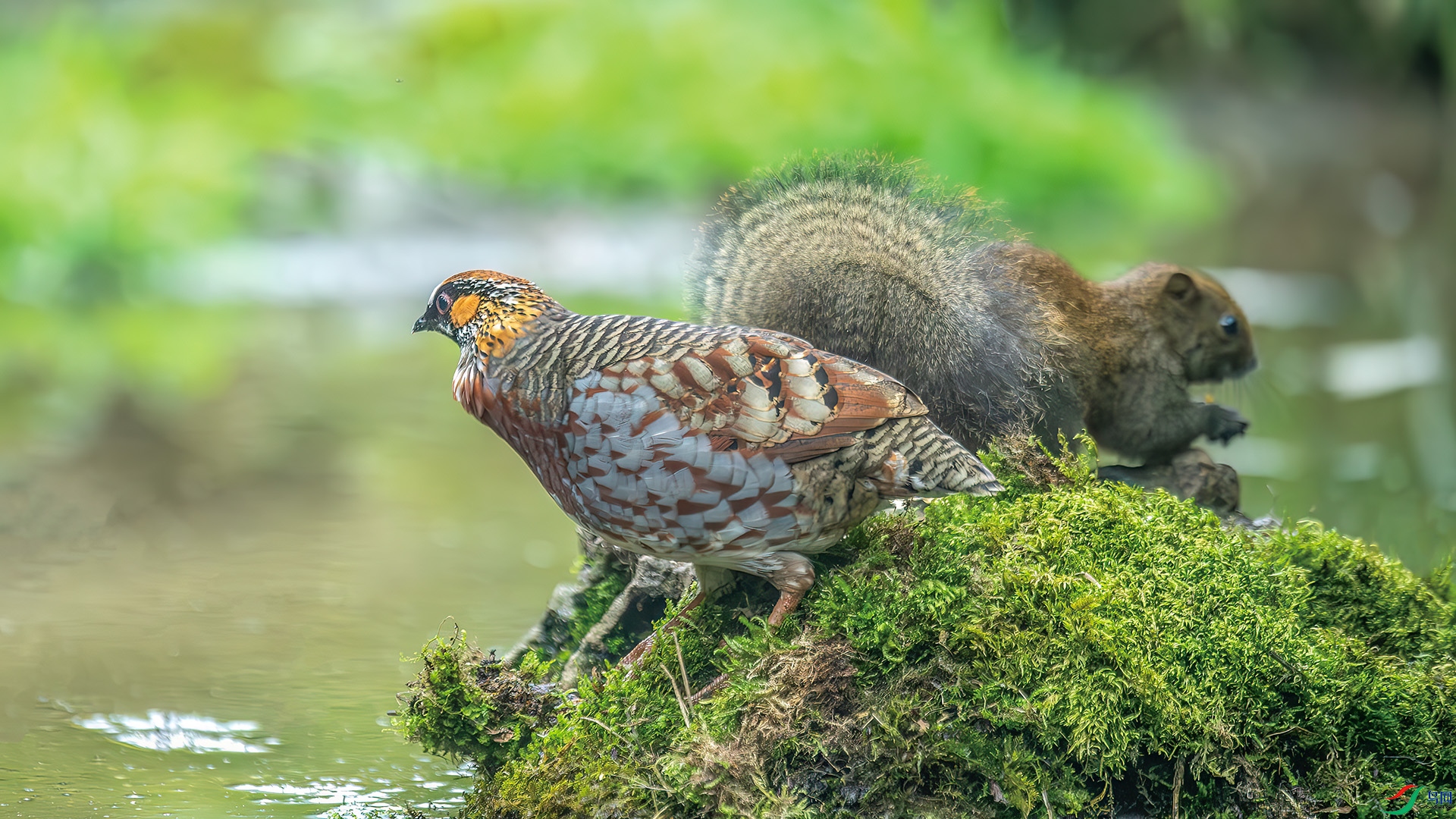 DSC_8897-����ǿ-NR.jpg
