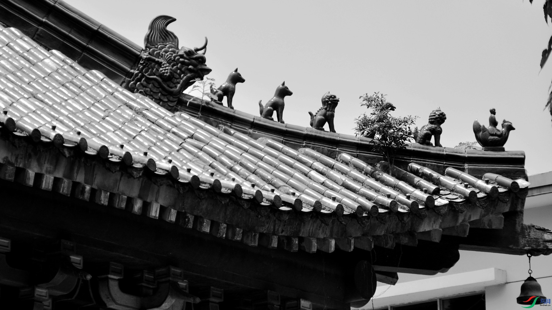 1 3569_����.jpg