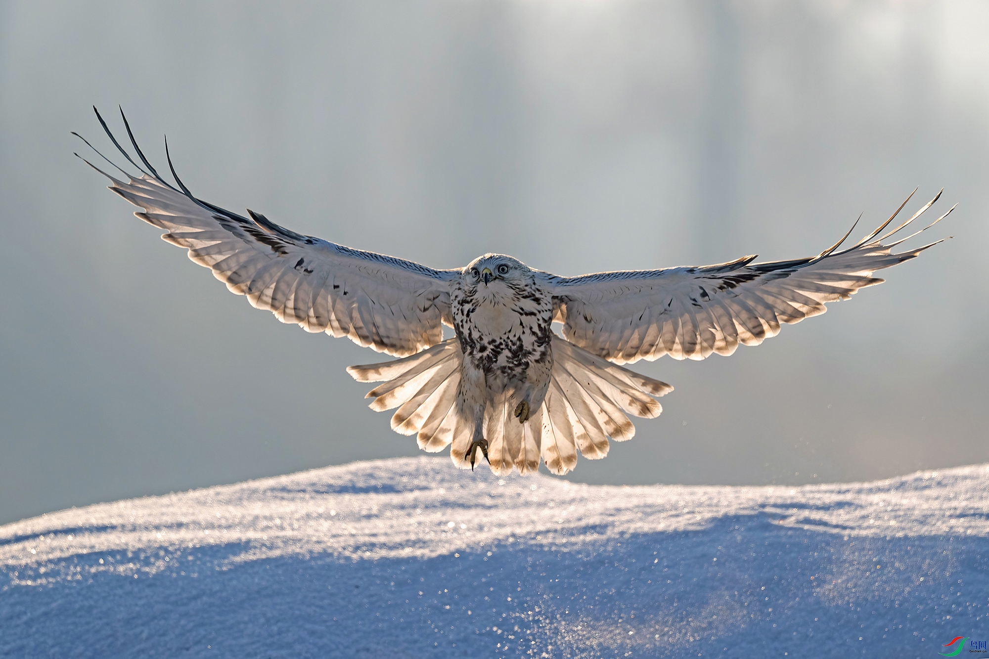 DSC_7408 V3.jpg
