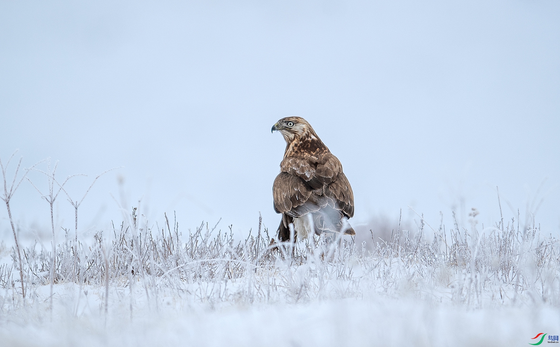 _DSC4070_����_����.jpg