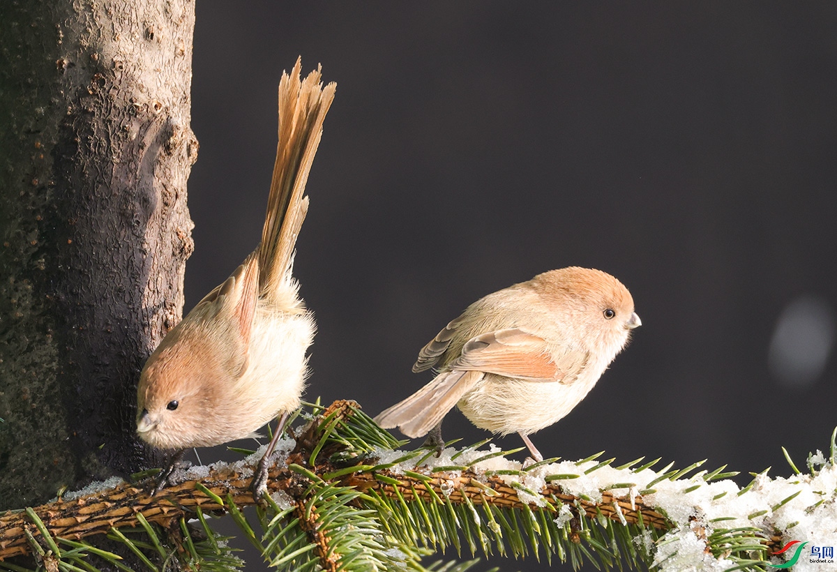 ��ͷѻȸ4.jpg