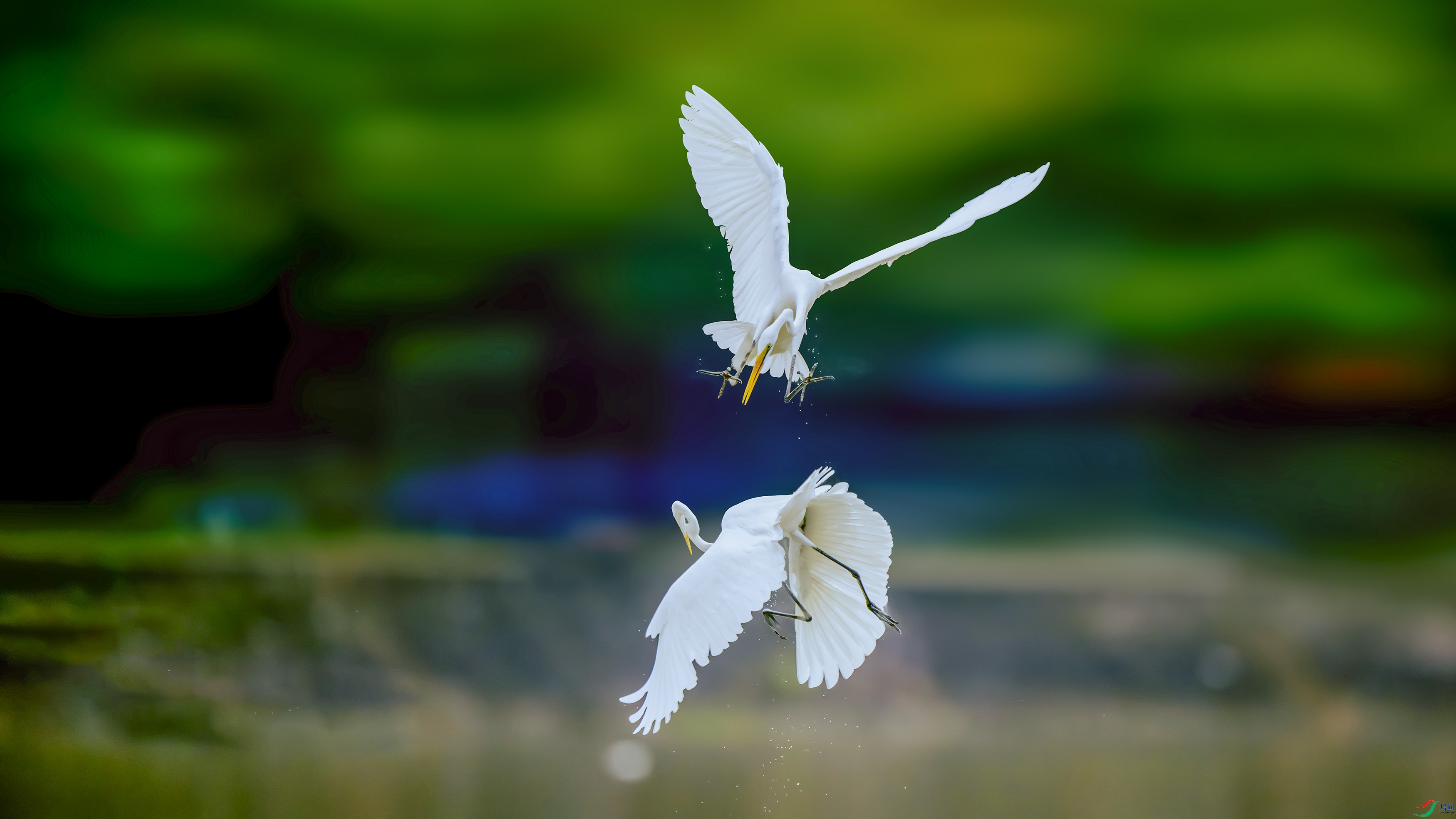 _DSC2080 ���� 2����.jpg