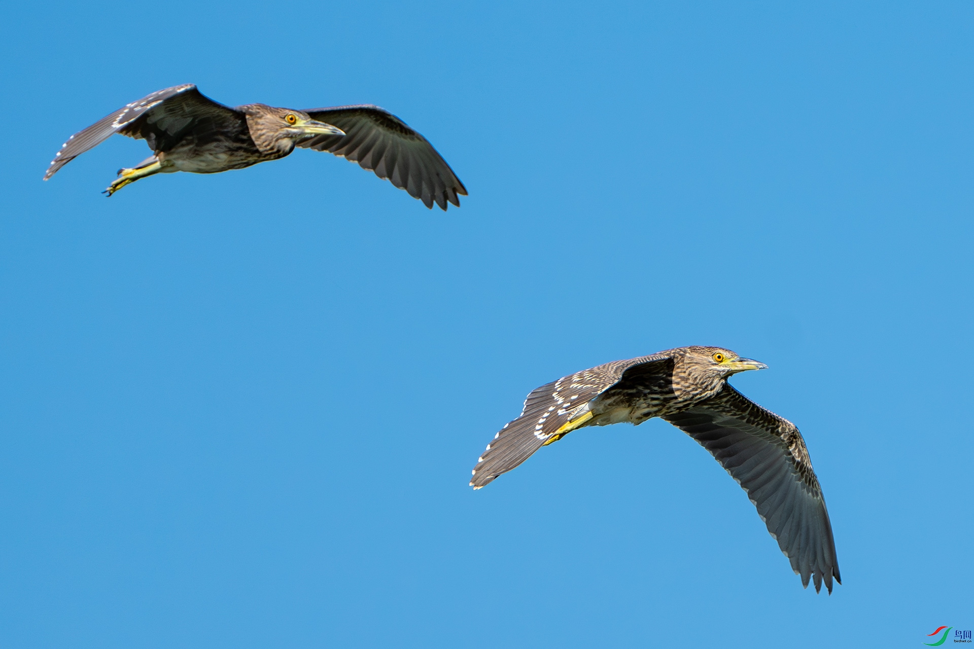 DSC01850-����ǿ-NR ����.jpg