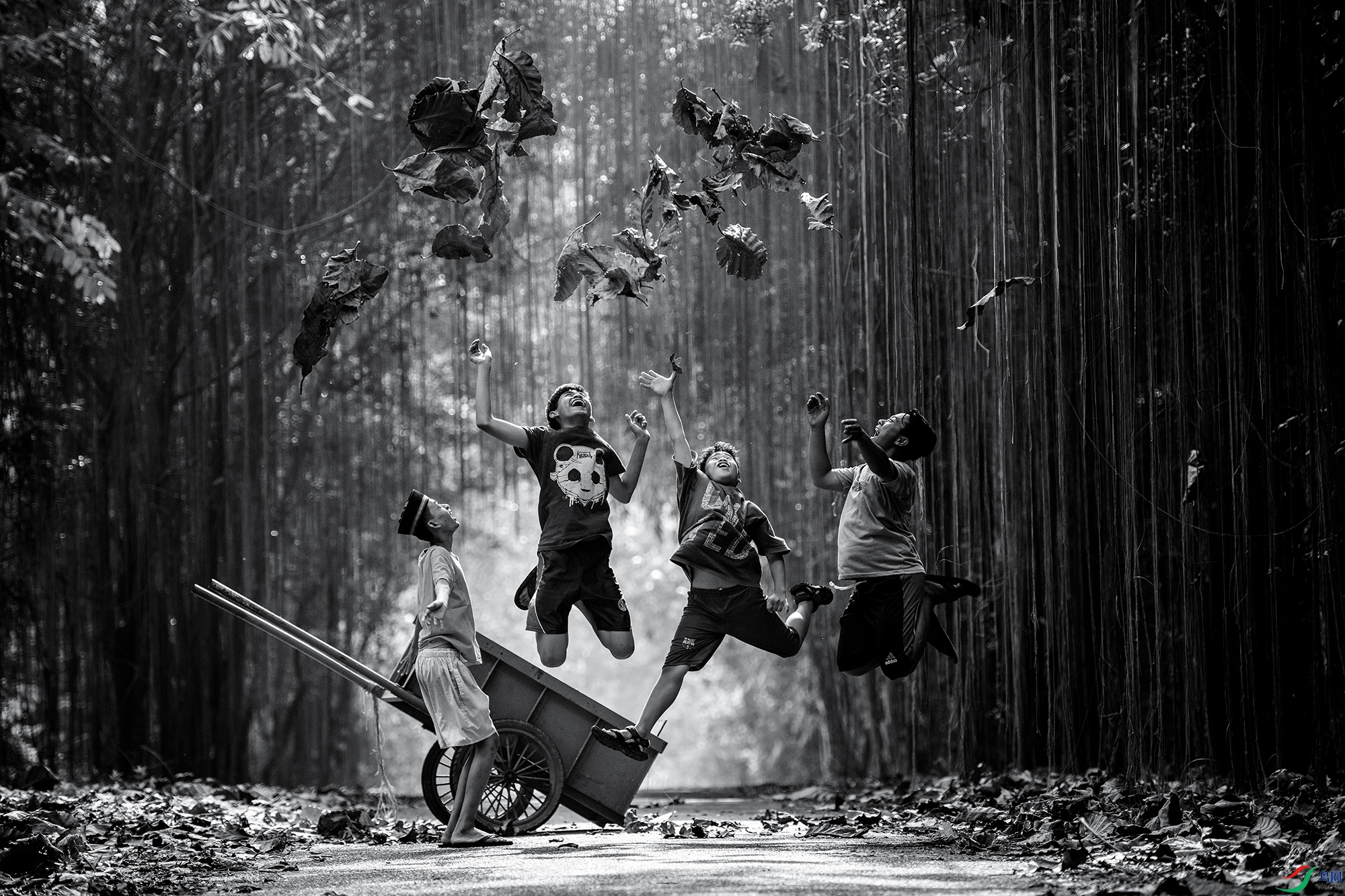 _DSC4059a ���� 2.jpg