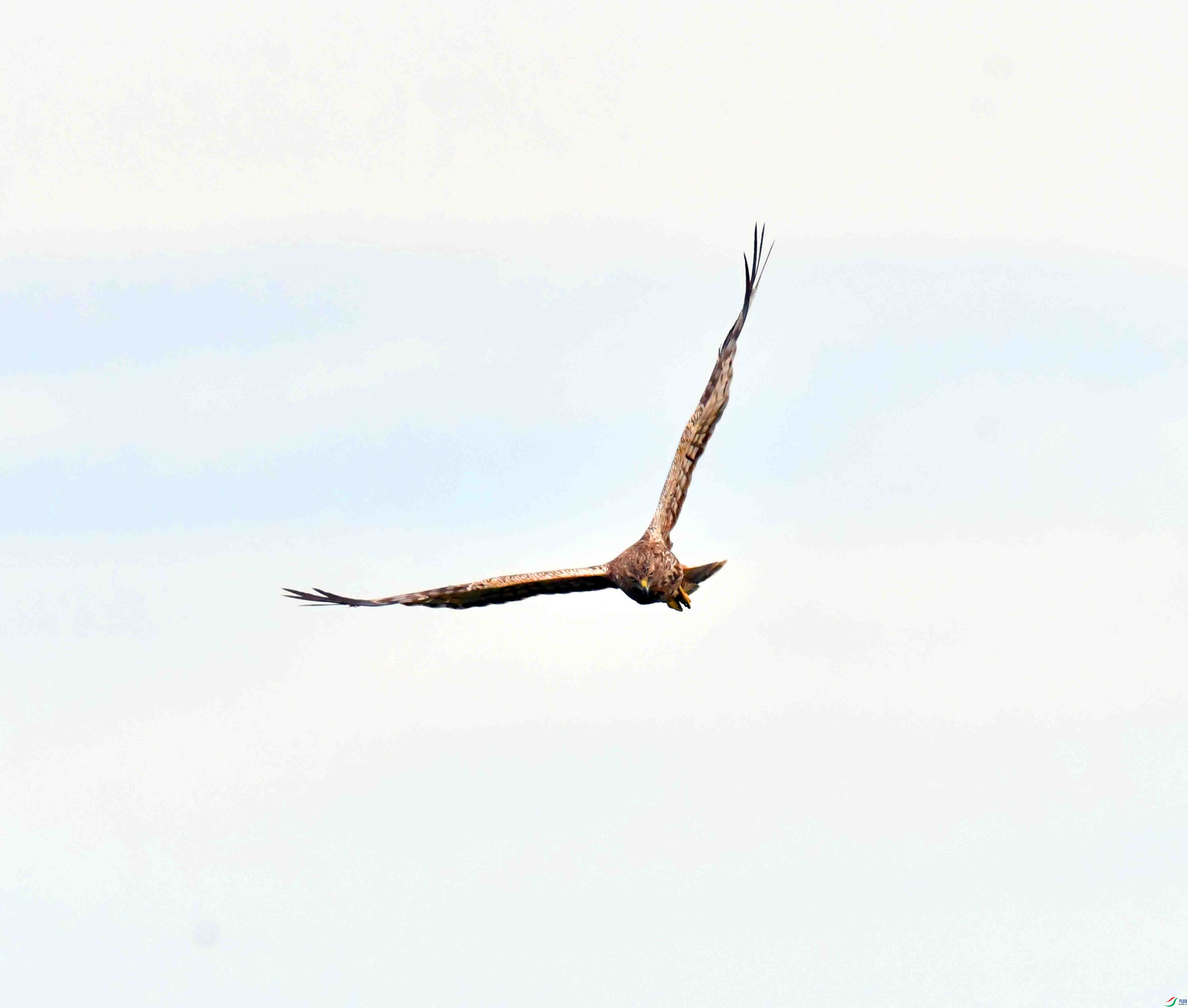 DSC_8042.JPG