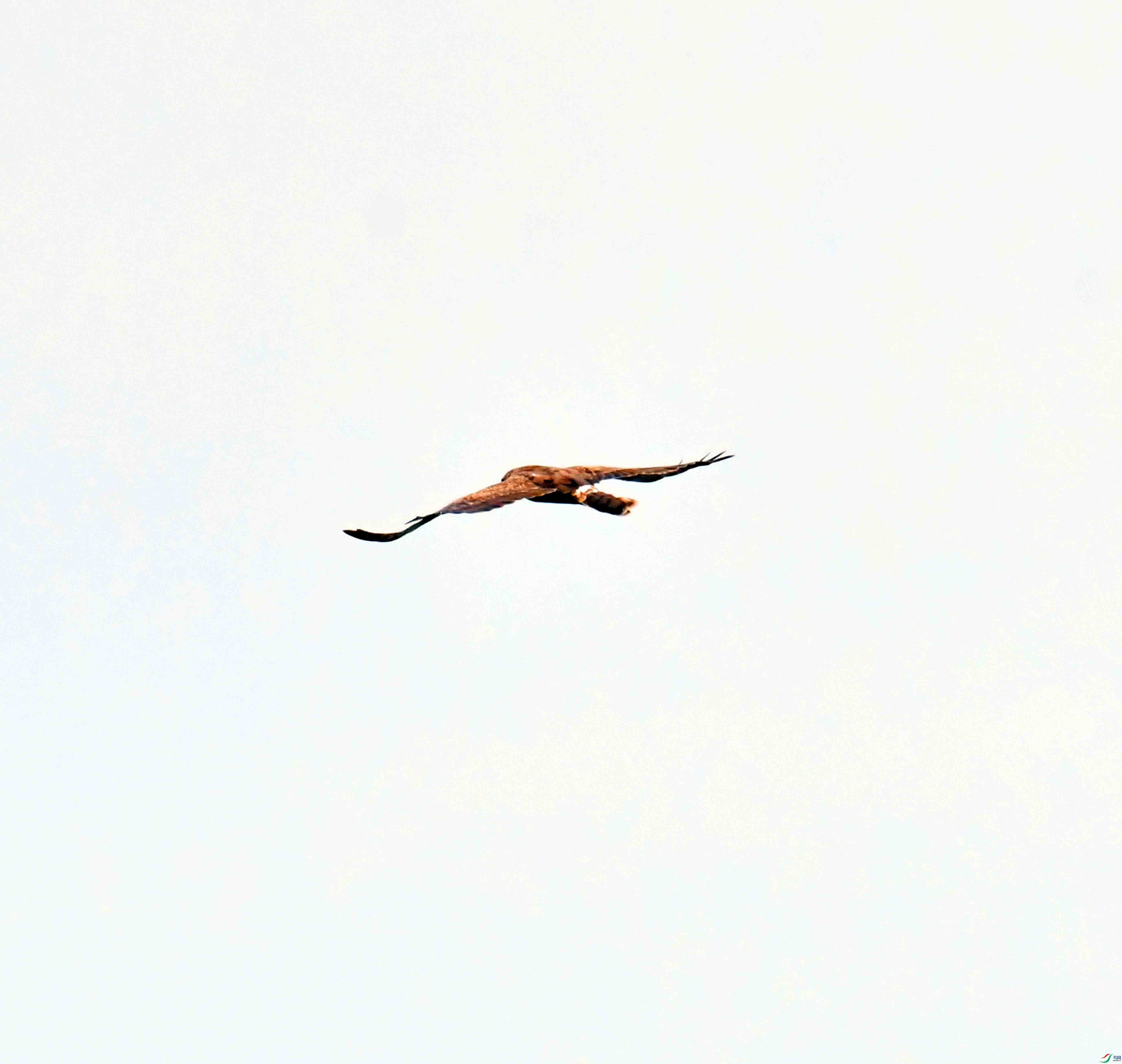 DSC_8082.JPG