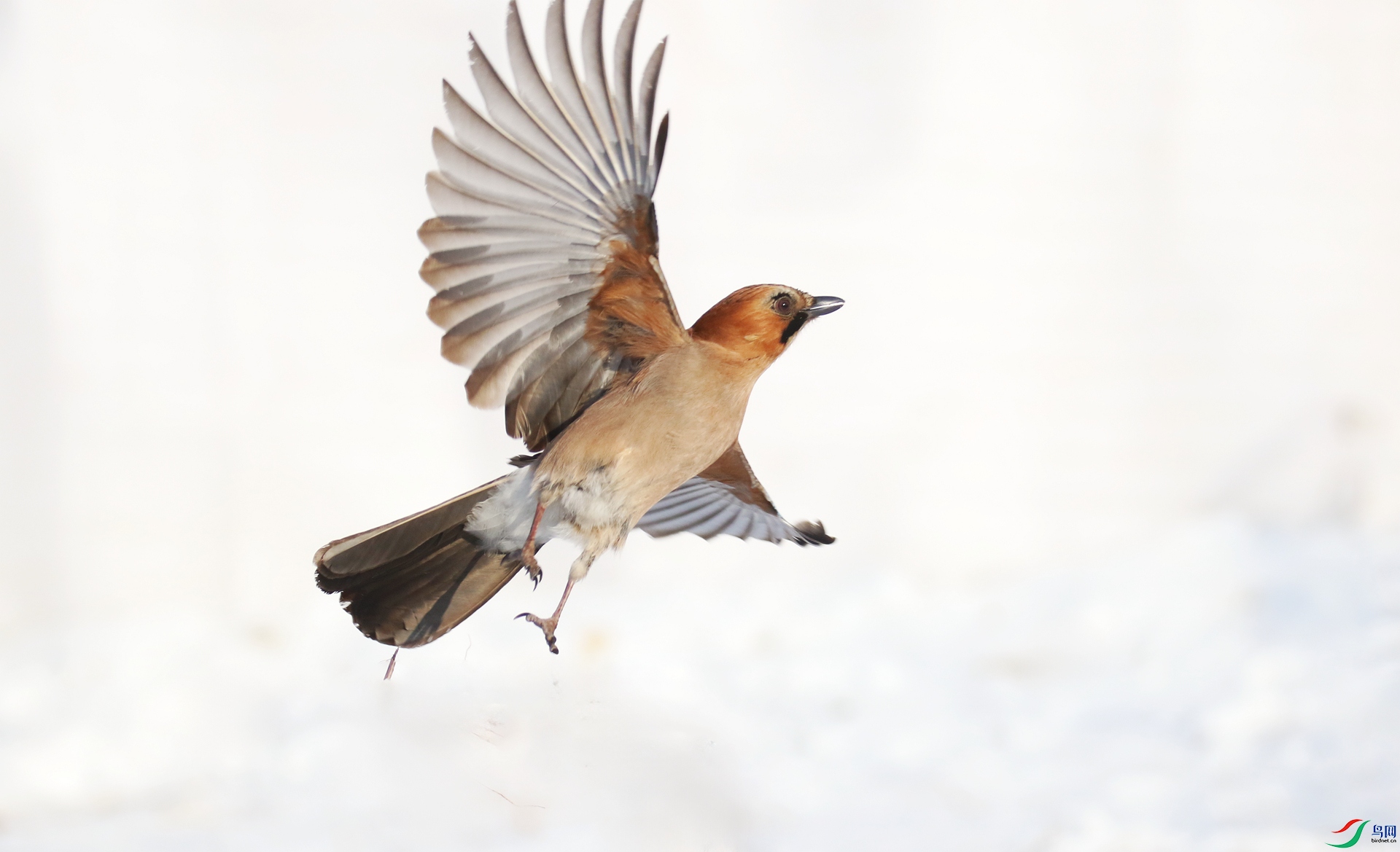 0G1A2927 ����.jpg