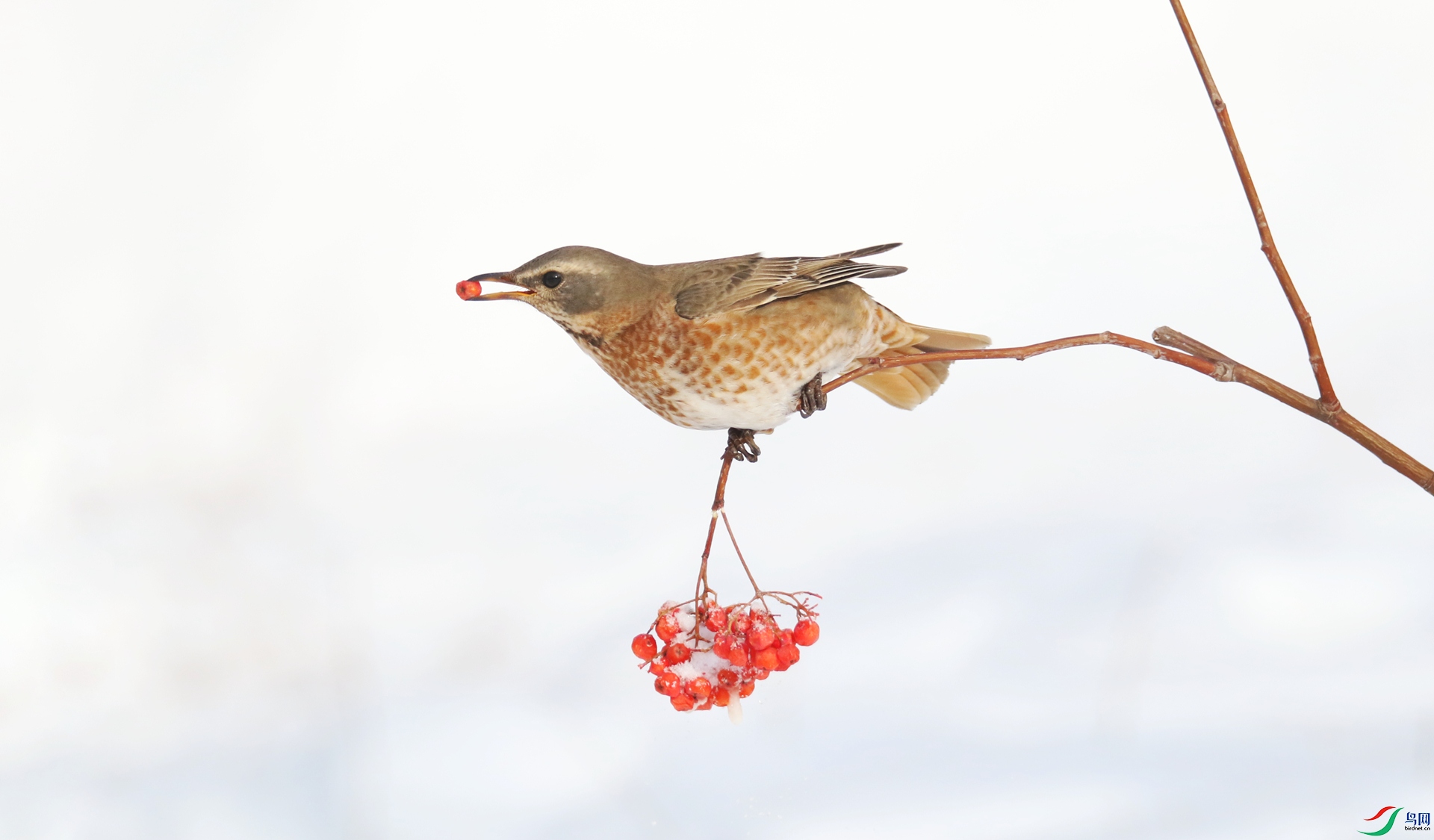 0G1A0133 ����.jpg