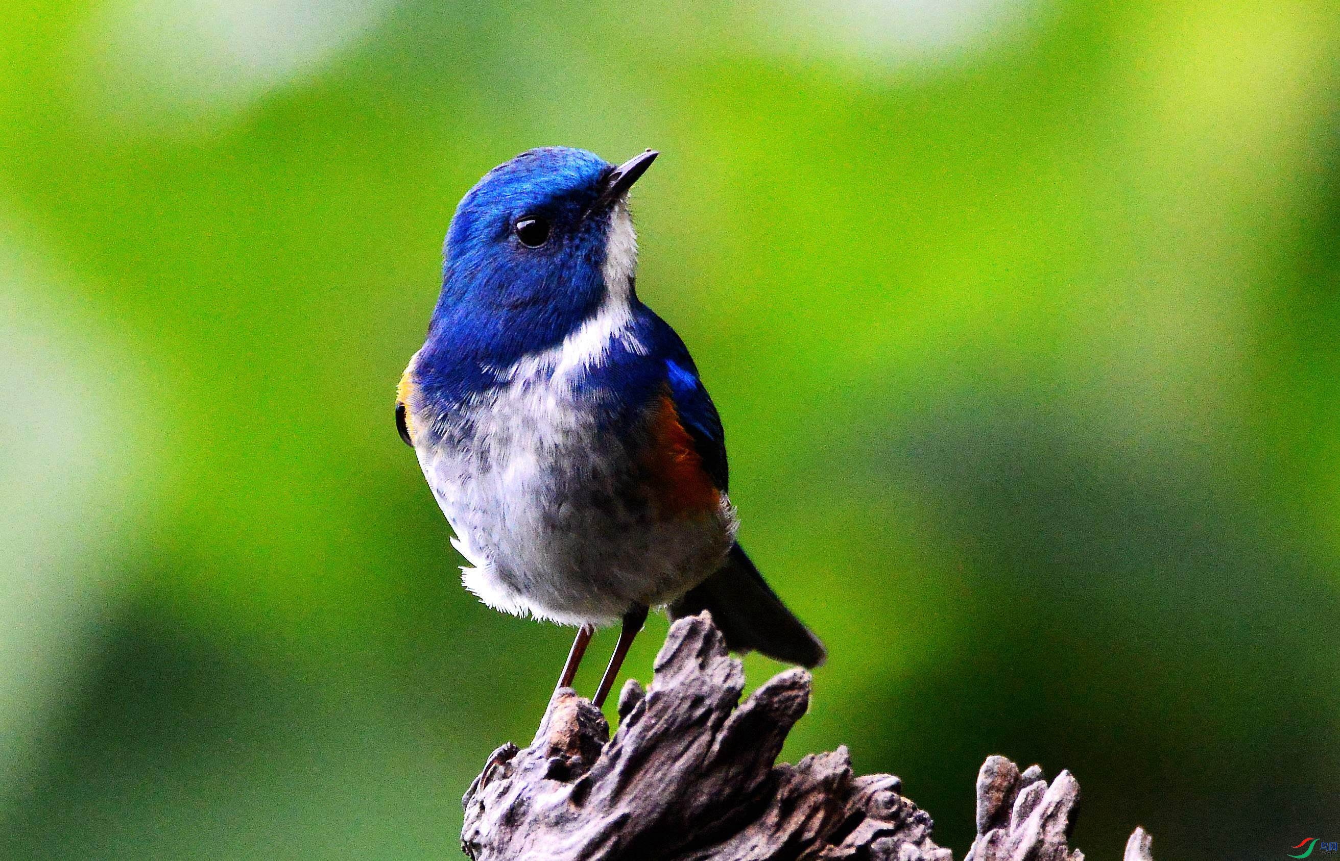 DSC_9683.JPG