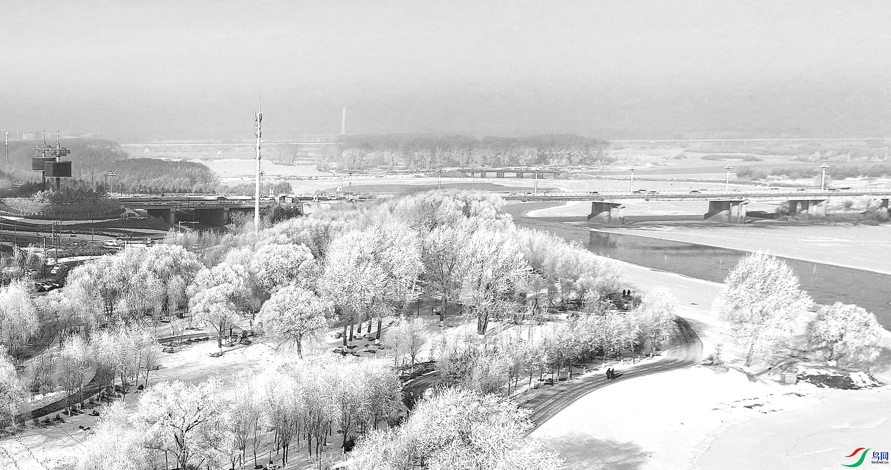 DJI_20250111220122_0154_D_����_����.jpg