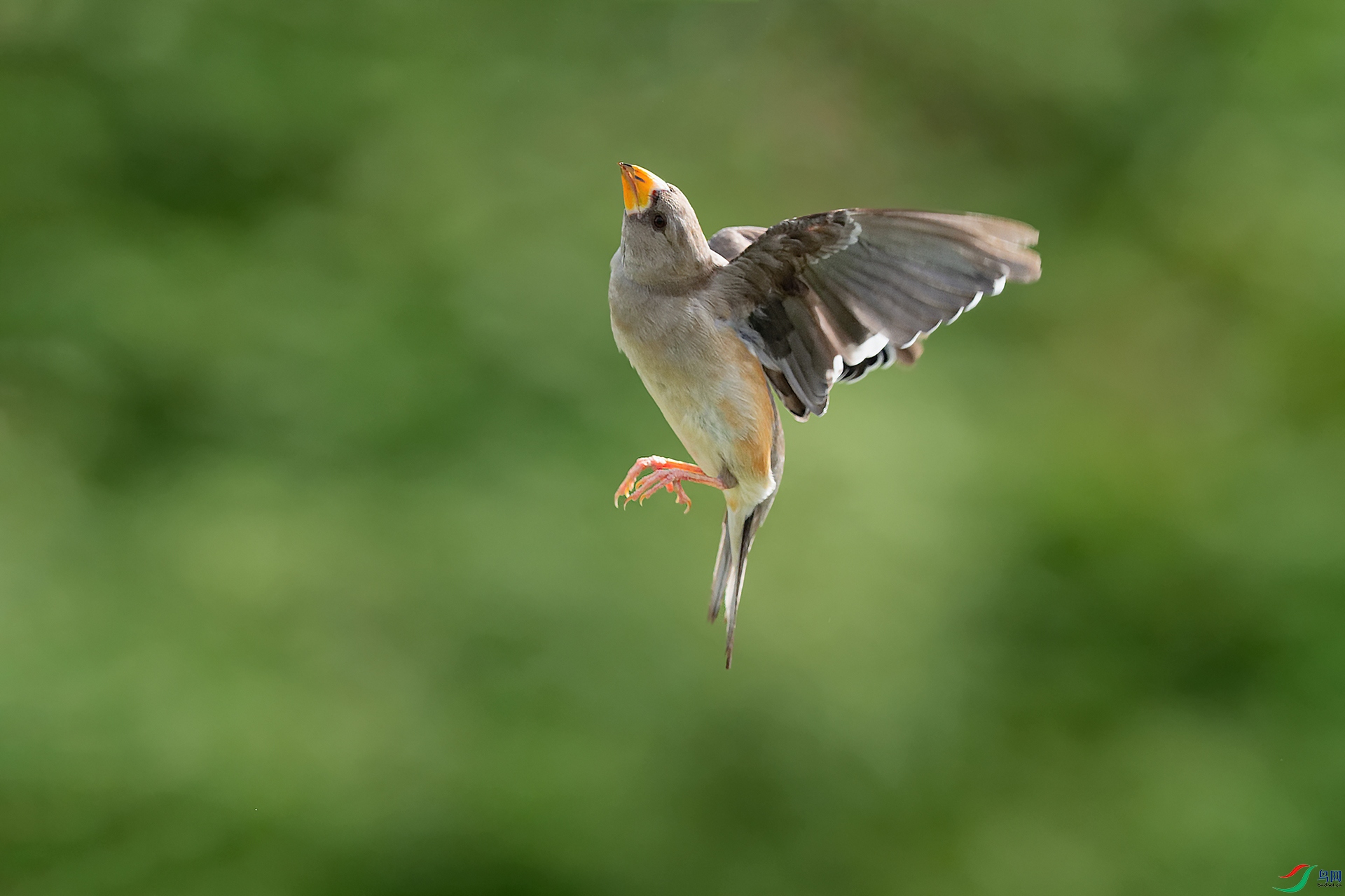 4DSC_6559_DxOa.jpg