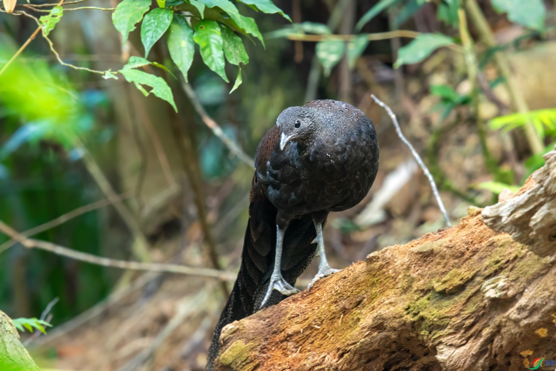 DSC_3849 ����.jpg