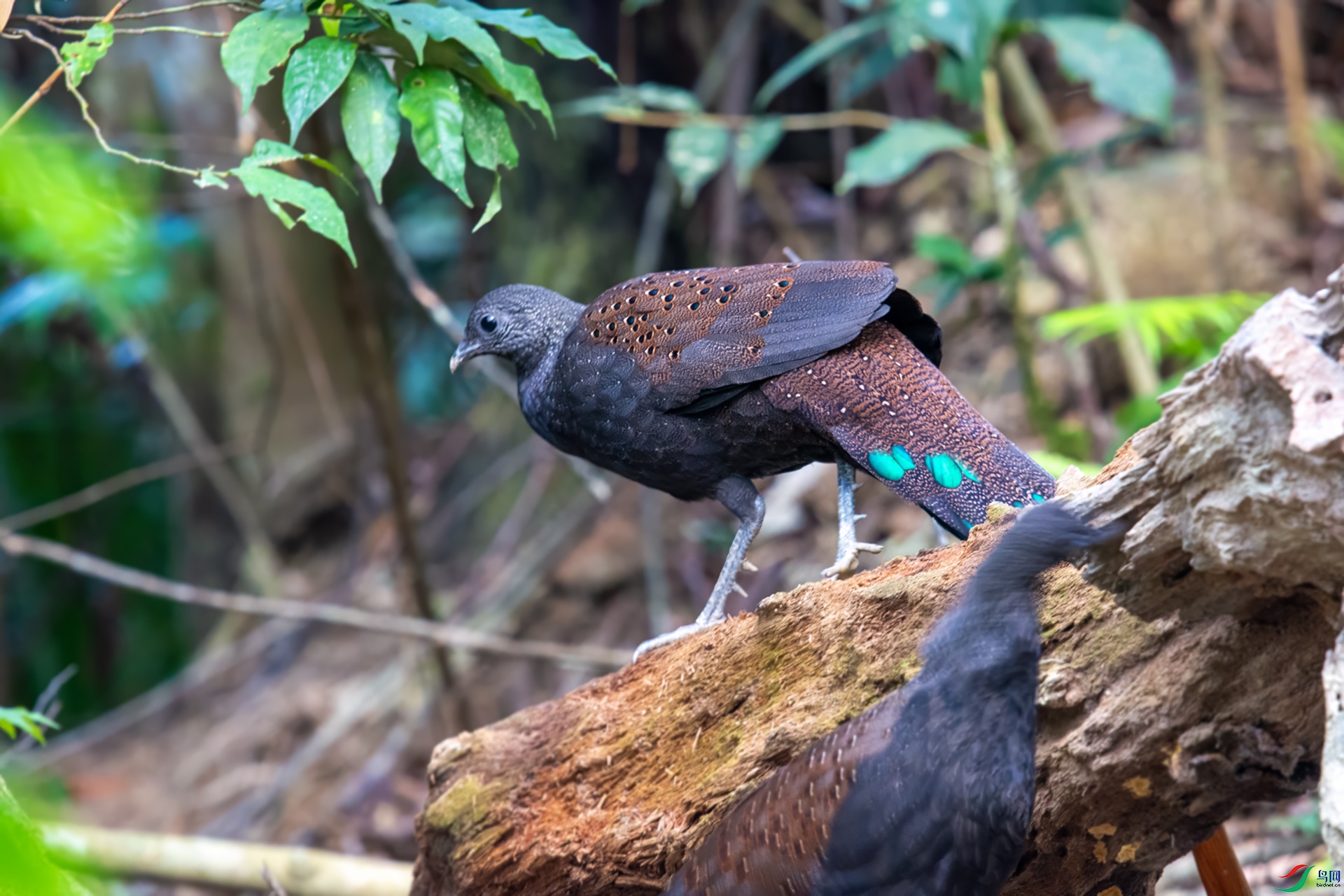 DSC_3859 ����.jpg