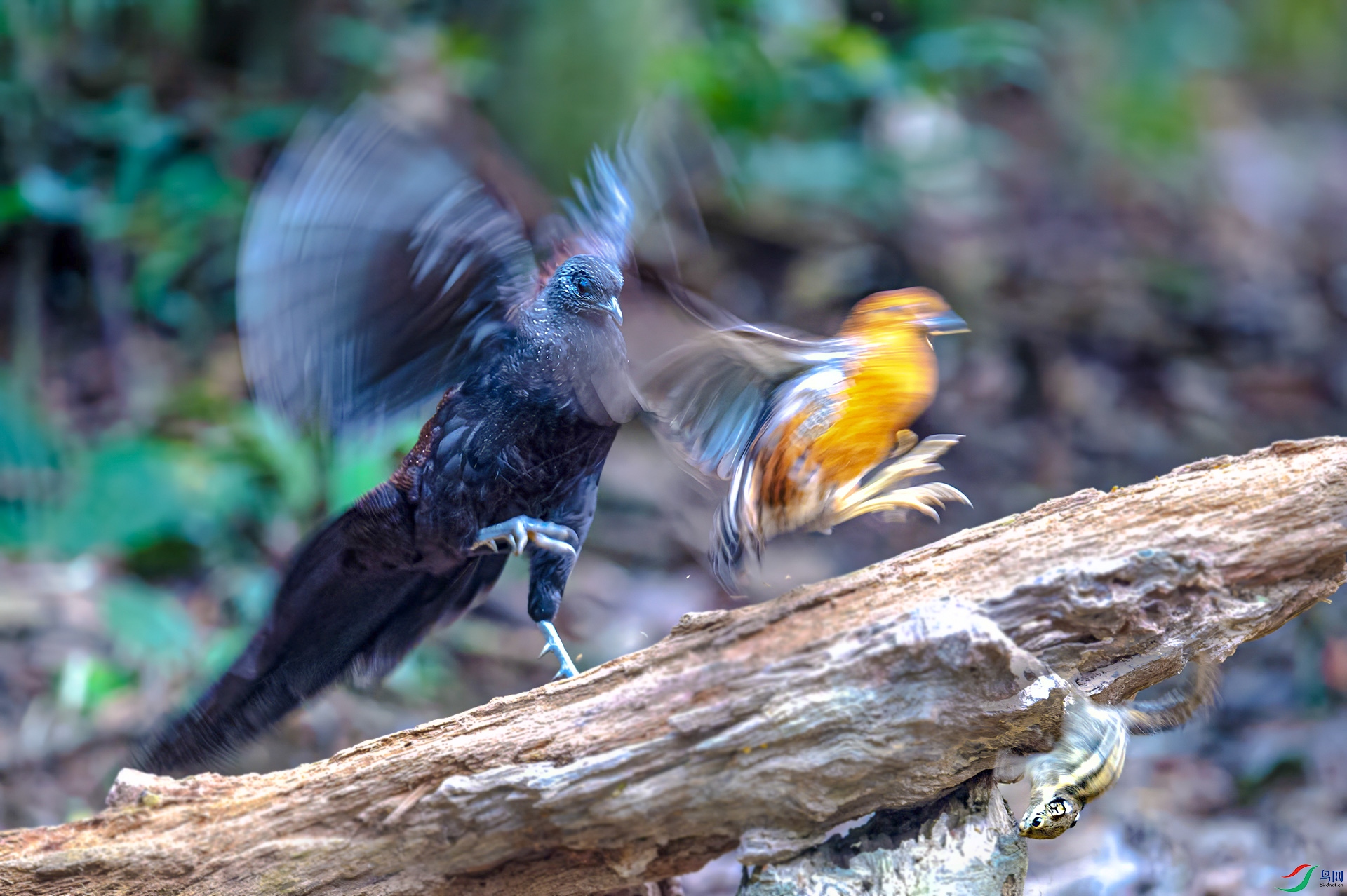 DSC_7329 ����...jpg