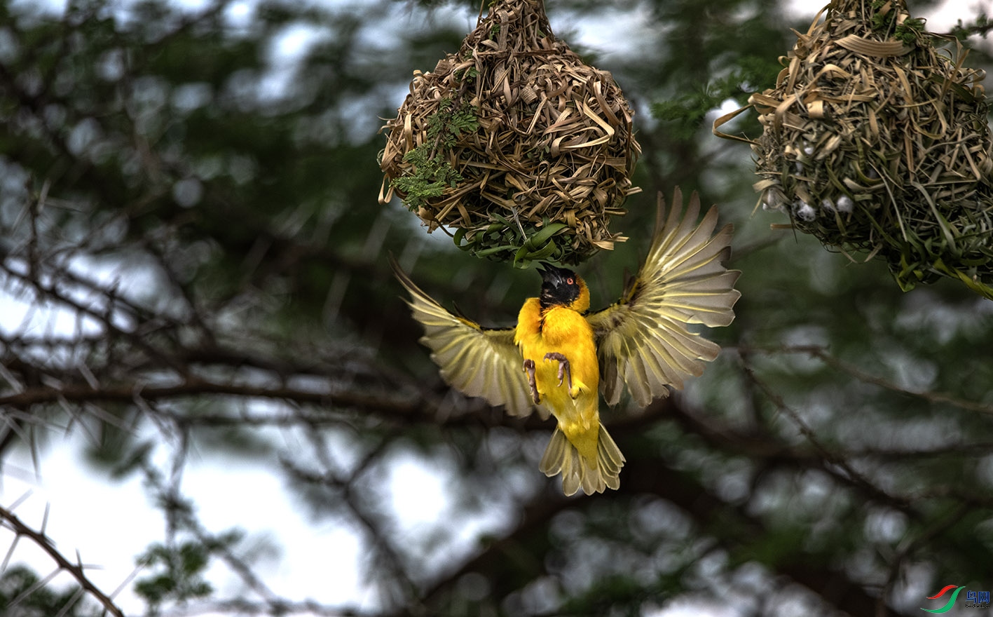 _DSC9132 ����.jpg