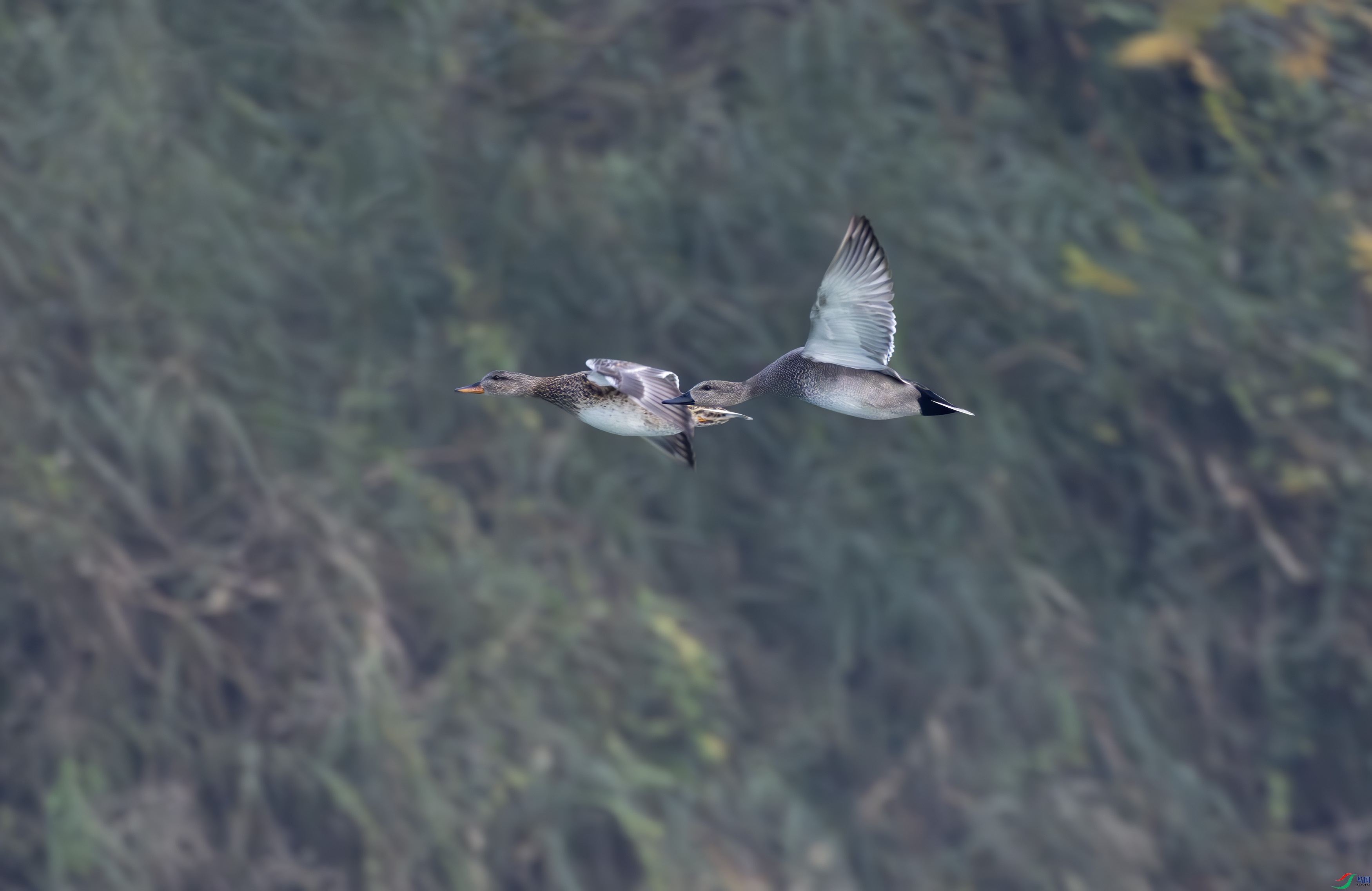 2I1A9379-����ǿ-NR ����.jpg