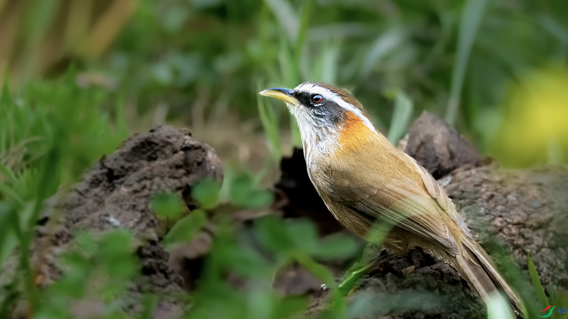 DSC_0640 ����--�ؾ�������.jpg