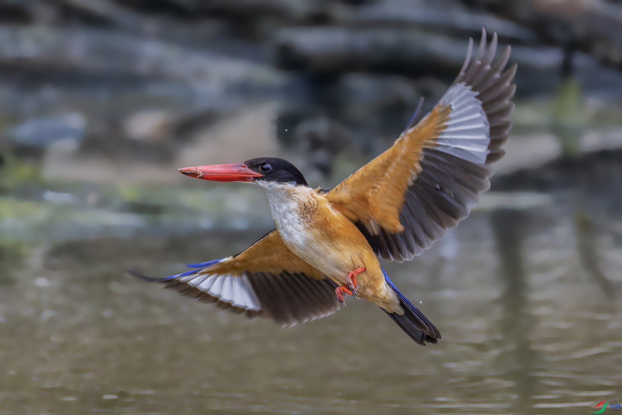 _97A5756-CR3 copy.jpg