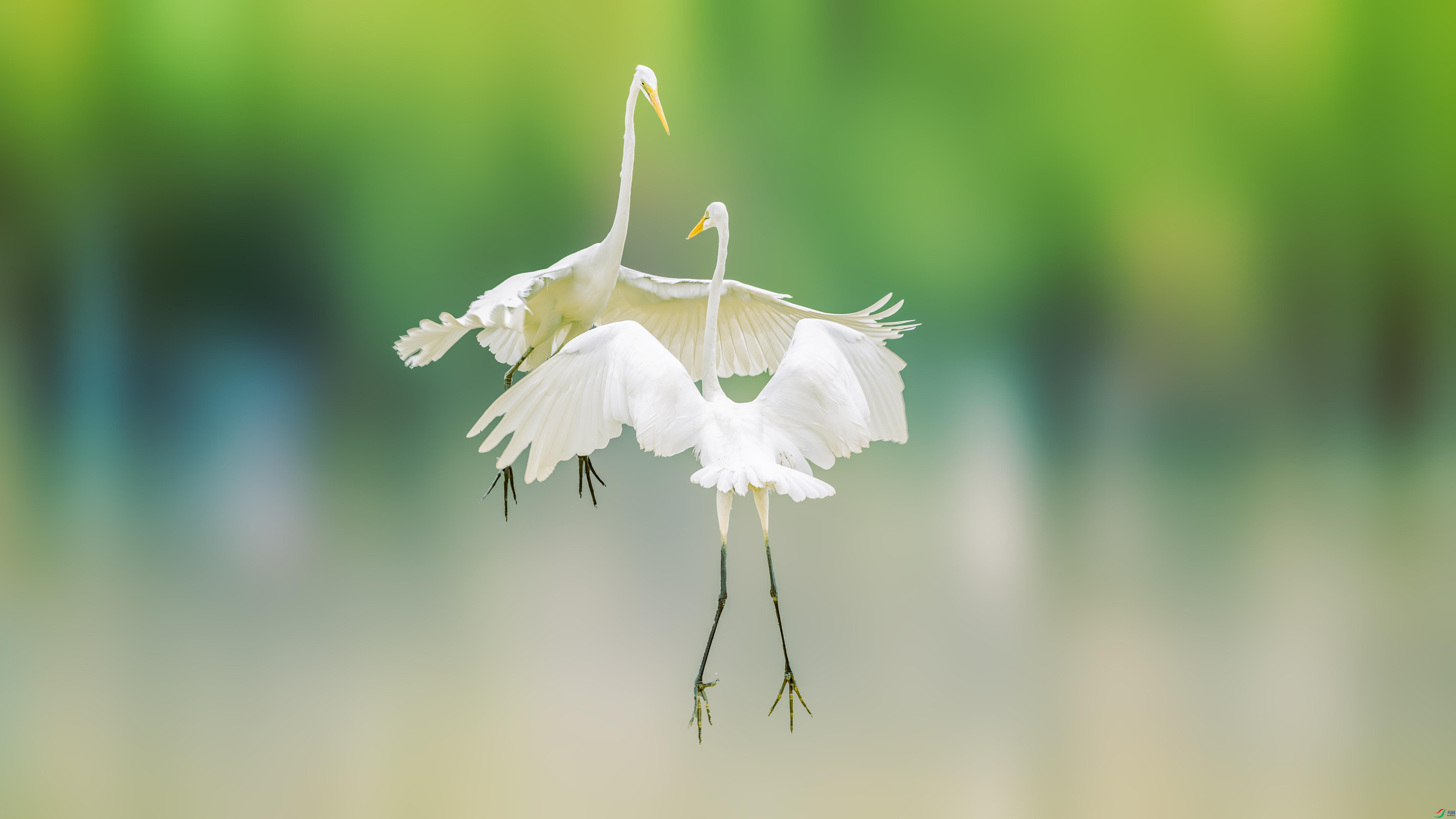 _DSC2805 ���� 2����.jpg