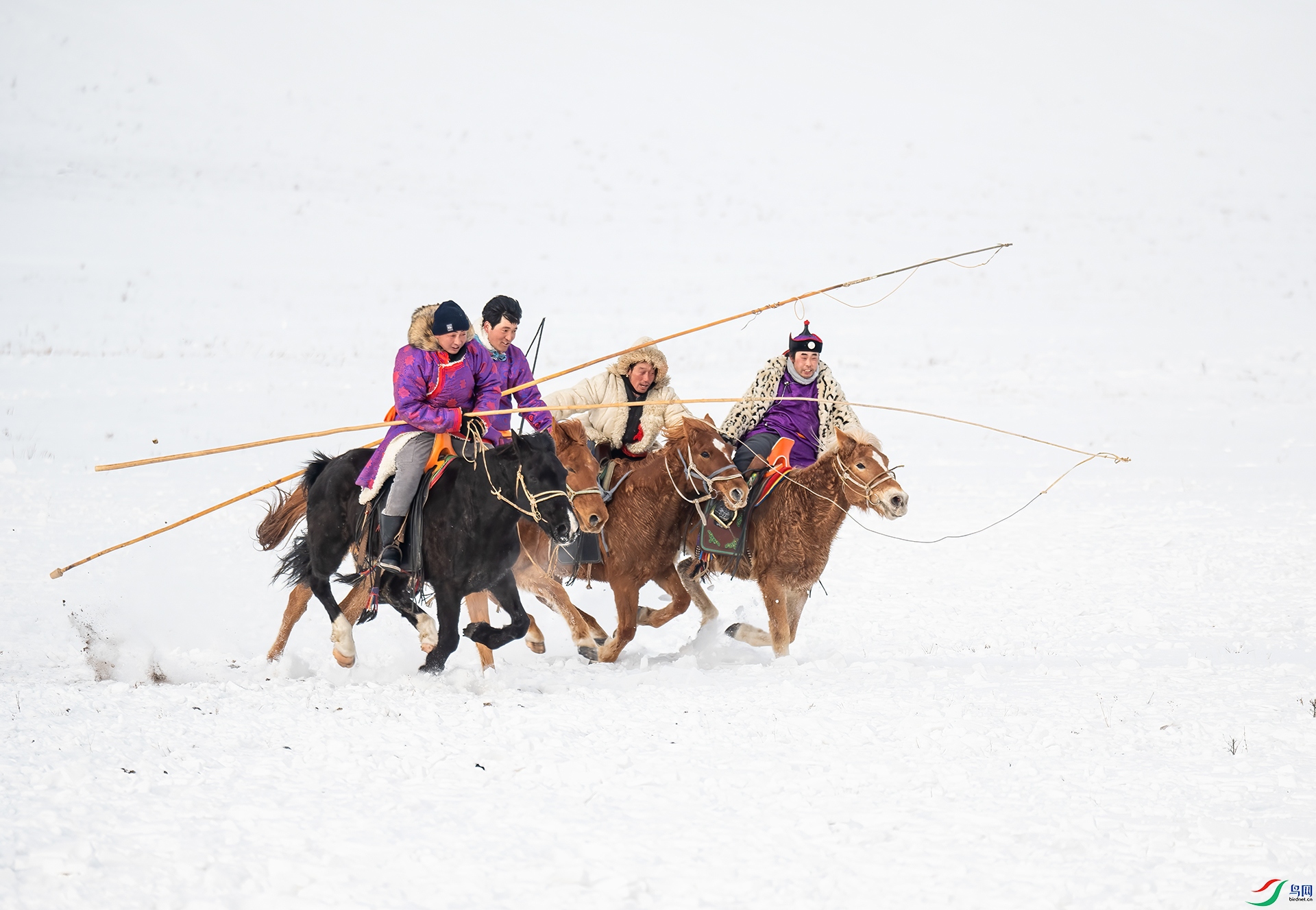 DSC_1813- ������.jpg