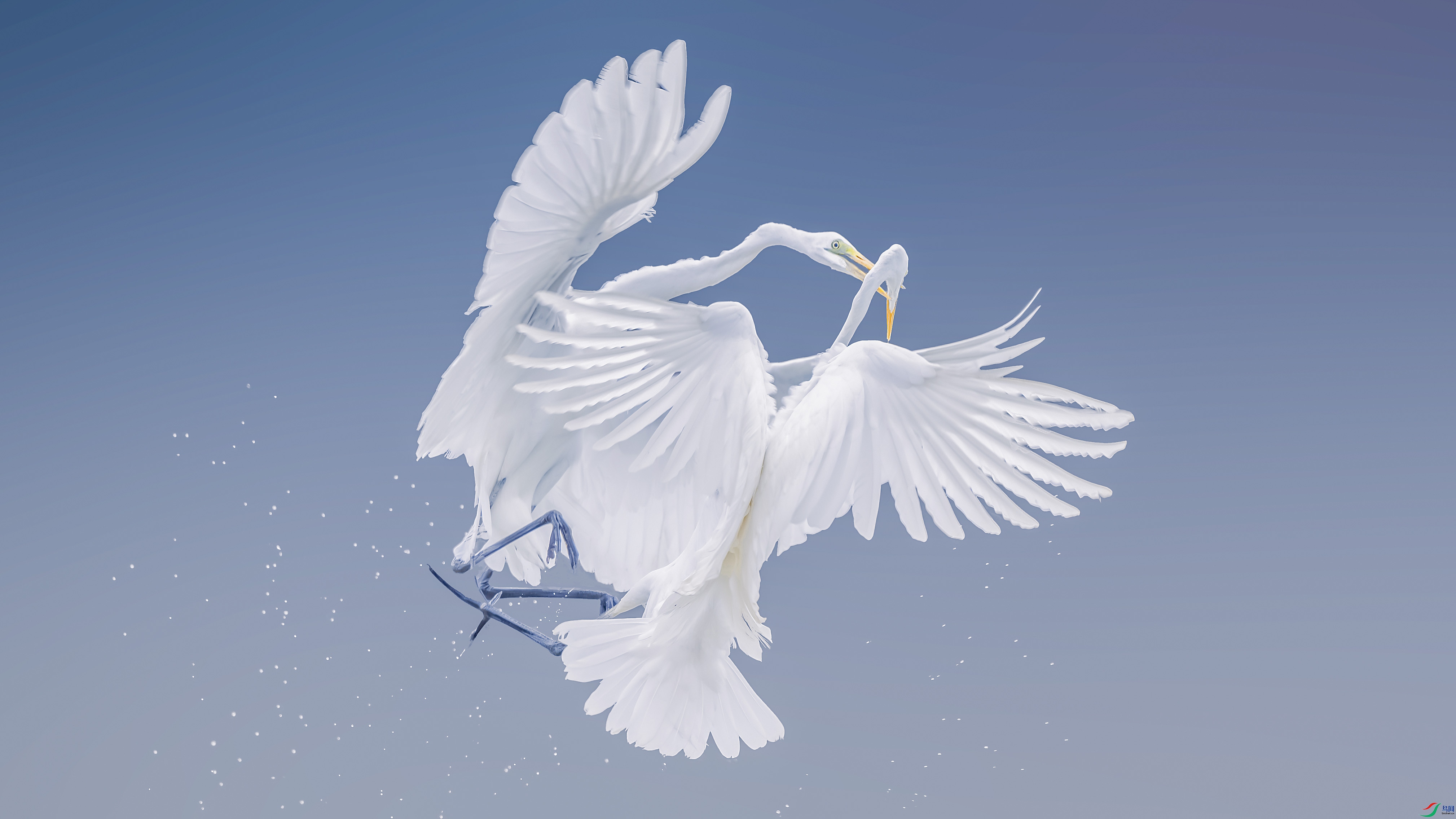 _DSC2785 ���� 2����.jpg