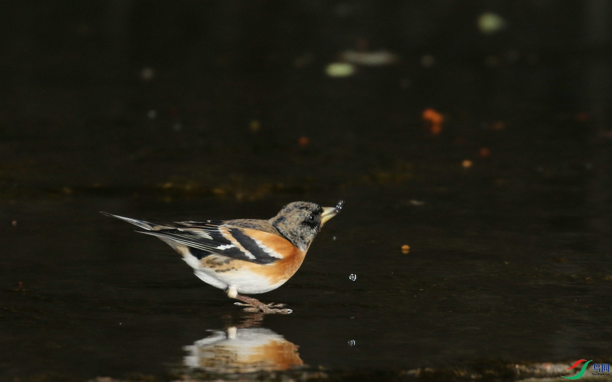 DSC20250114041.jpg