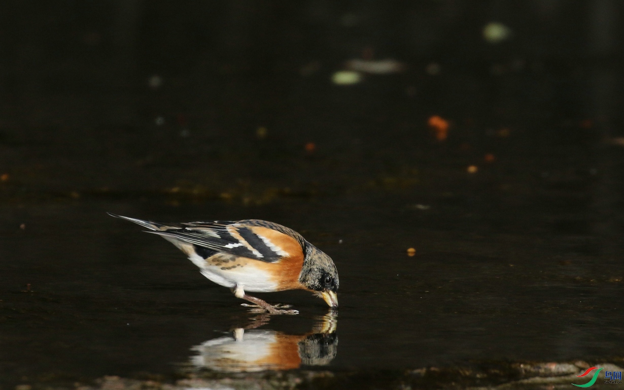 DSC20250114040.jpg