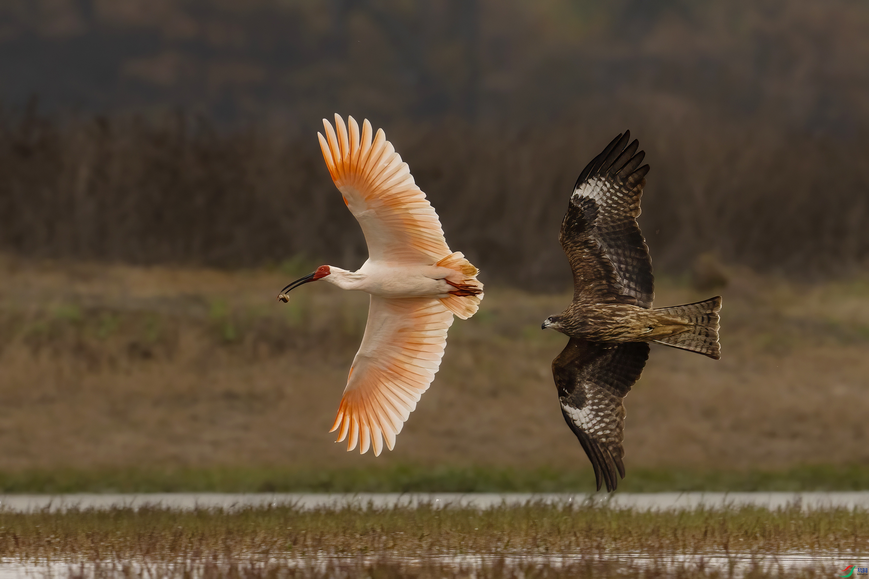 ����١�����· ��».jpg