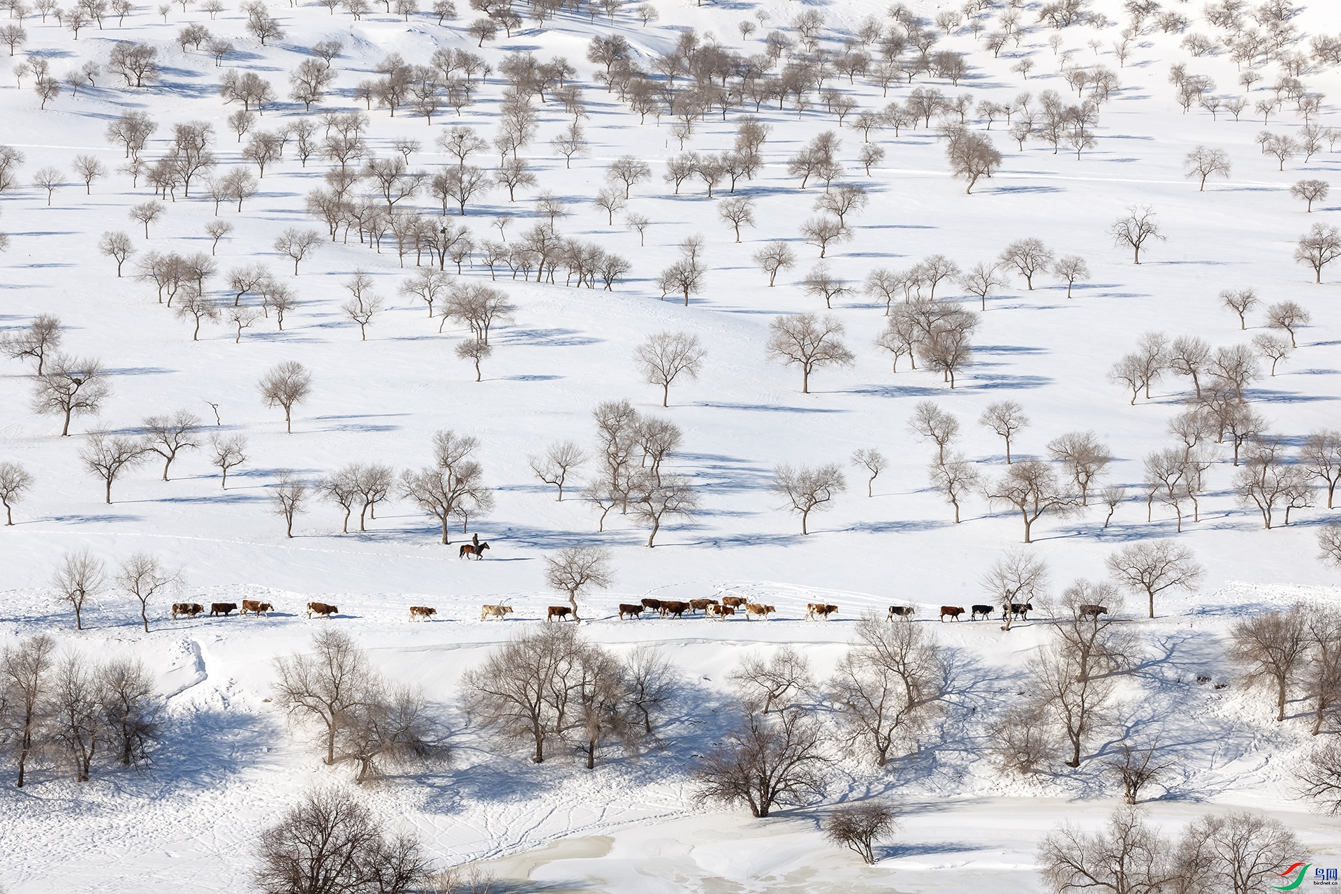 ��������������Į����-�� ��.jpg