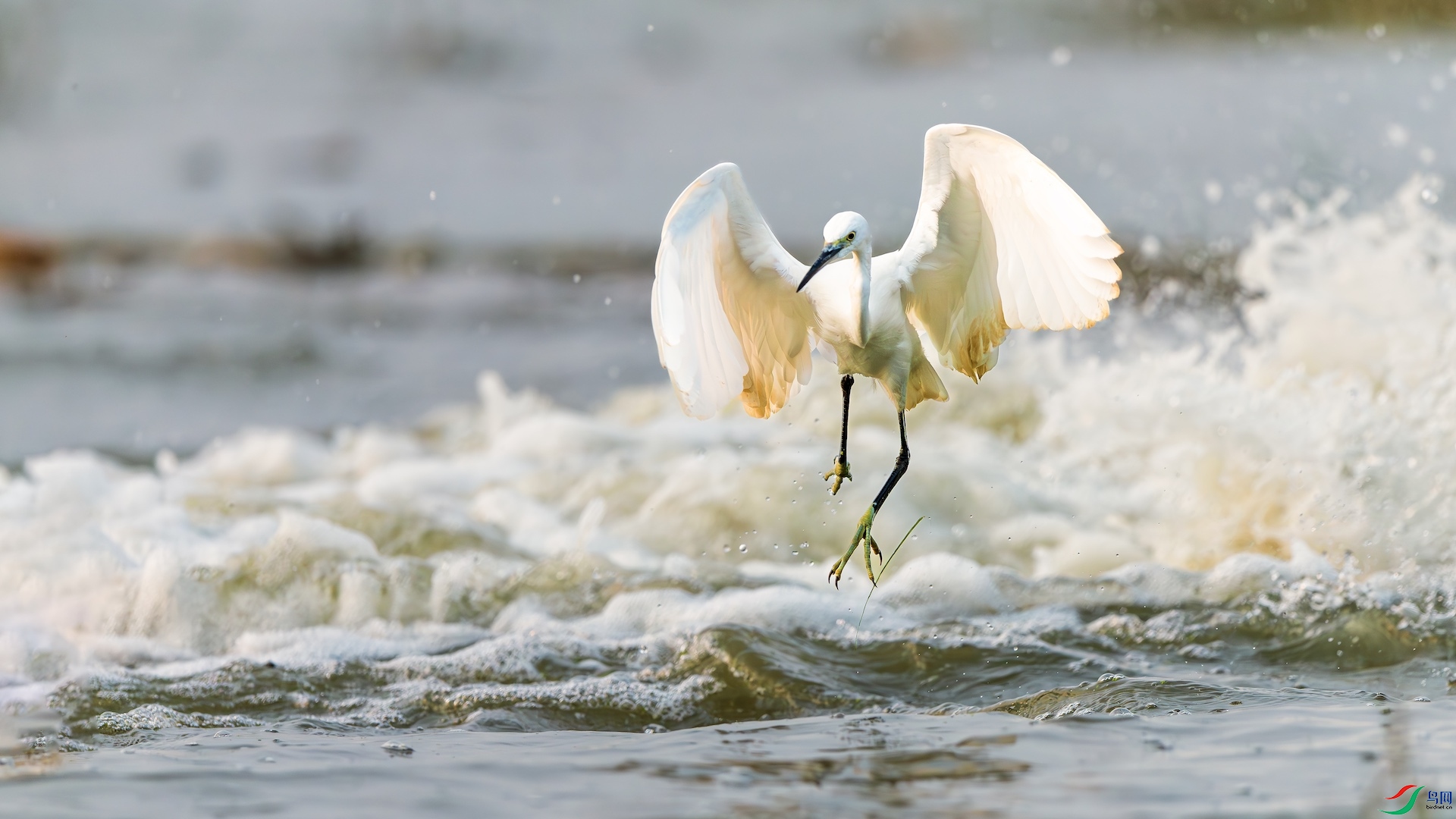 1--2XXL_6138-����ǿ-NR ���� 2.jpeg