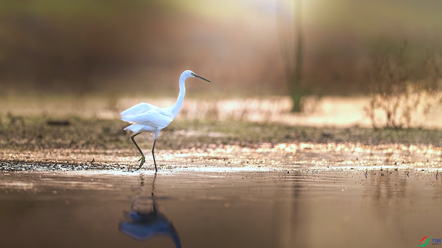 1--2XXL_6488 ����.jpeg