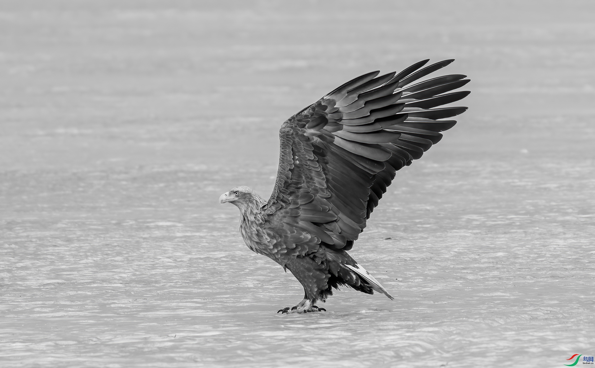 DSC06854 ����.jpg