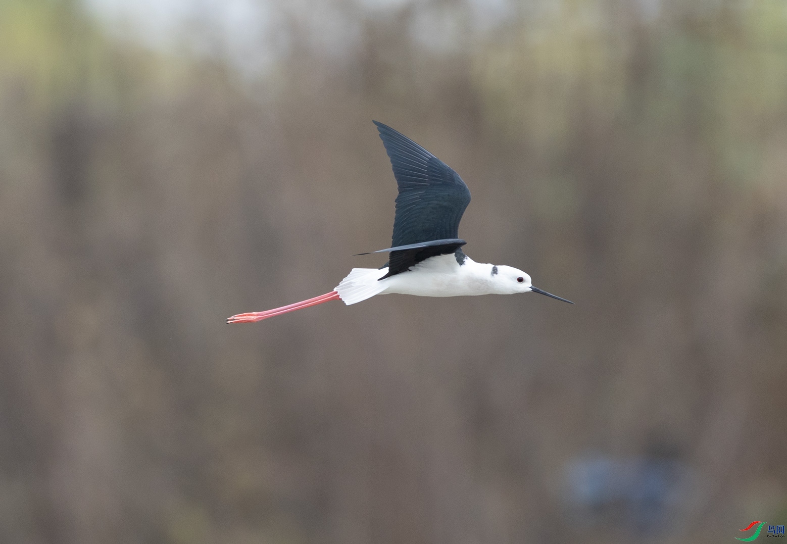 0G6A0658.jpg
