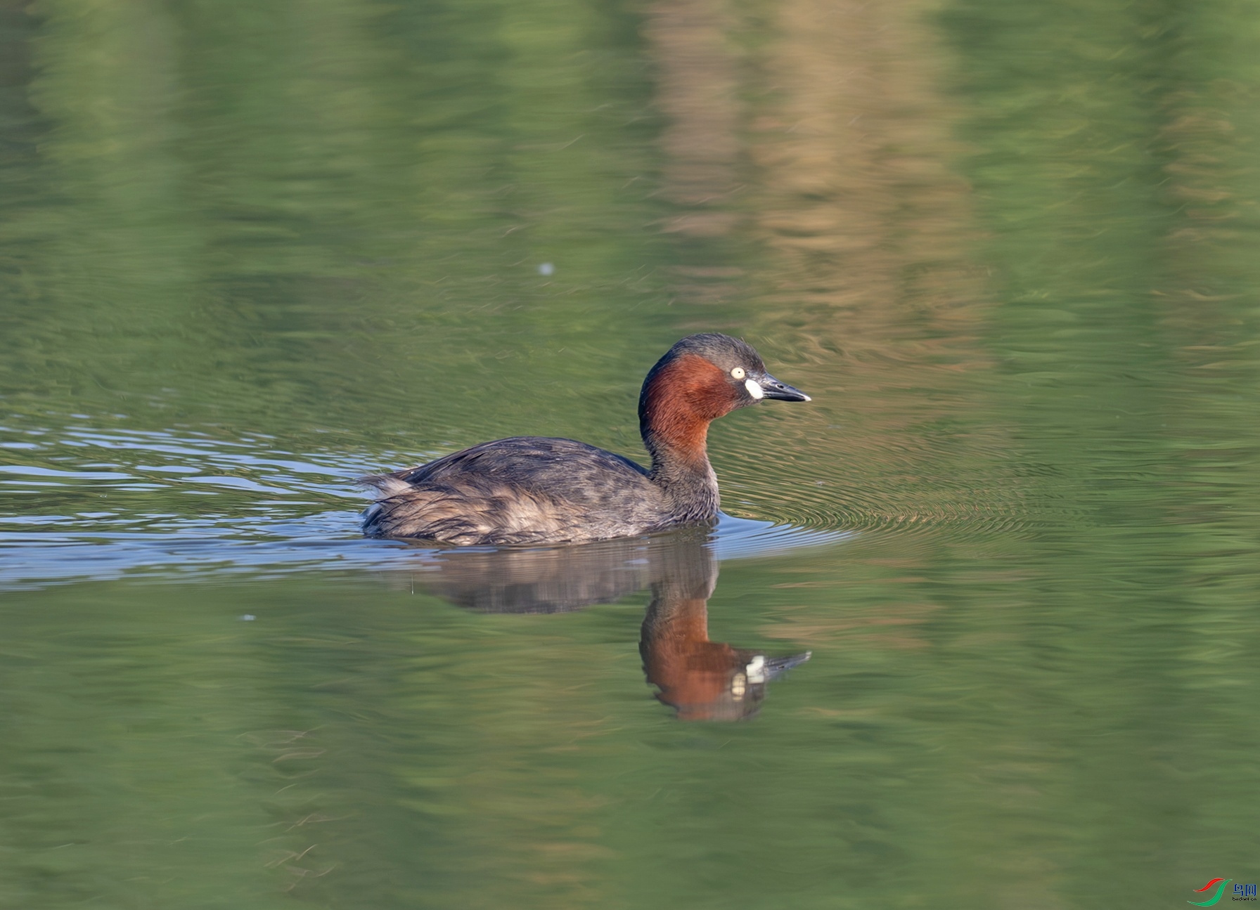 _DSC7669f.jpg
