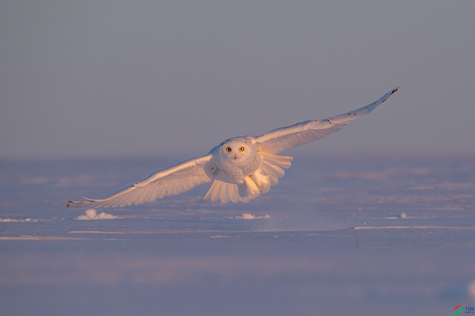 _DSC4754.jpg