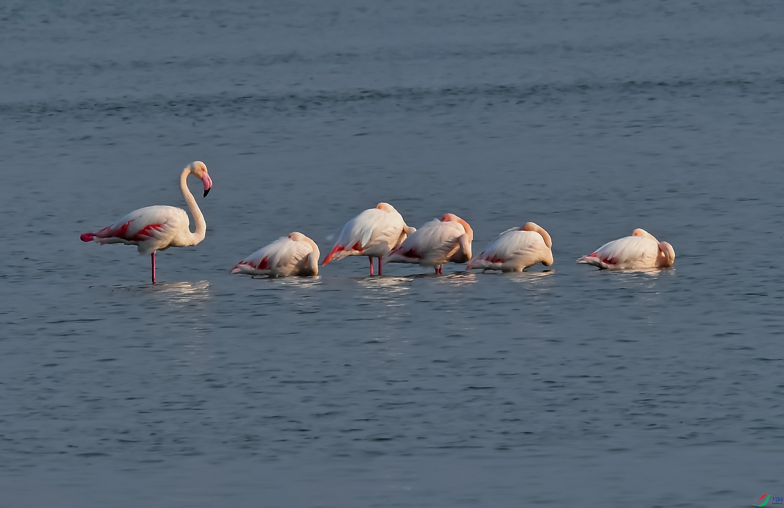 DSC_1108.jpg