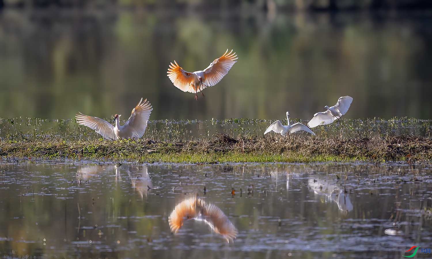 DSC_0711 ����.jpg