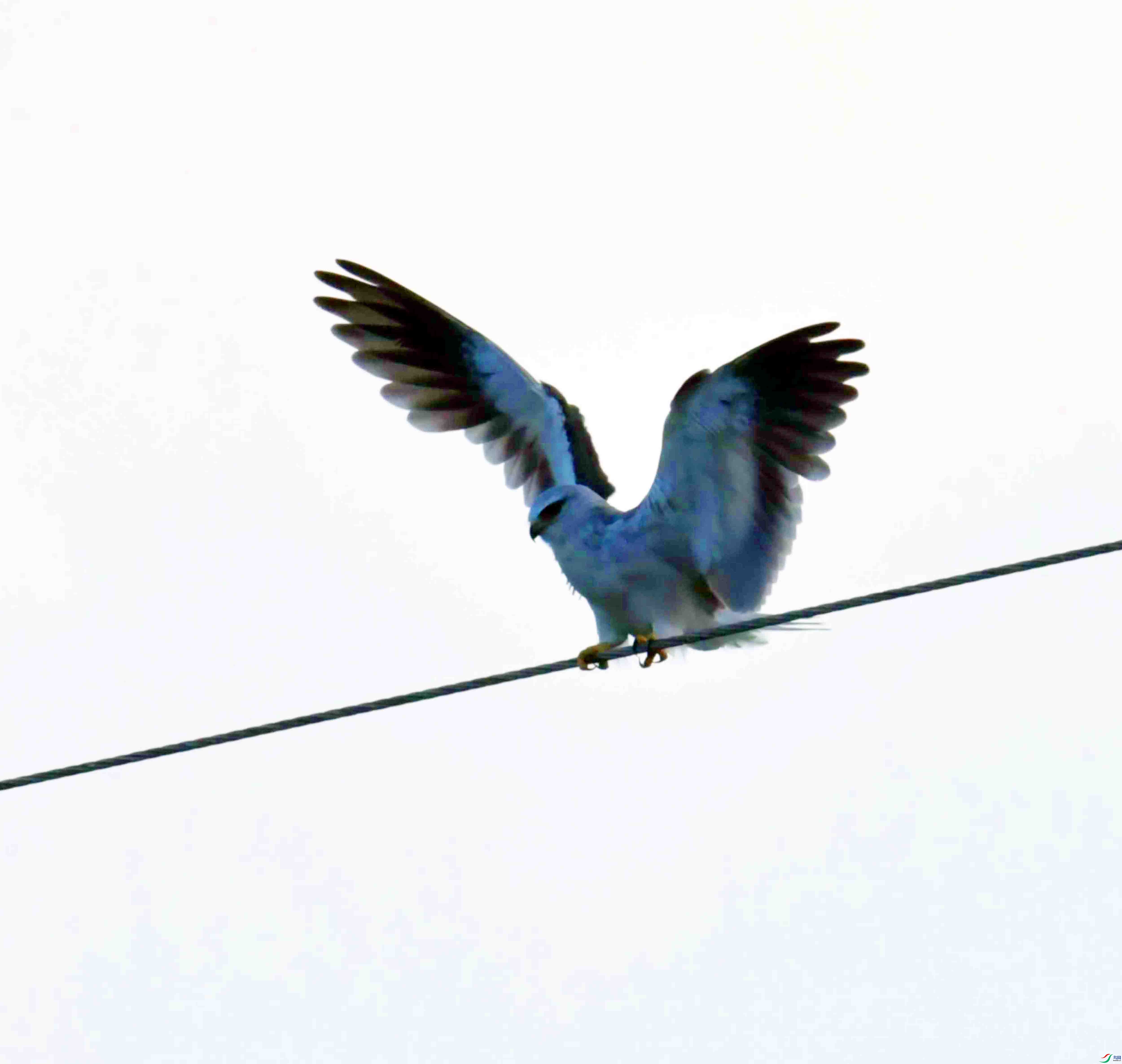 DSC_5466.JPG