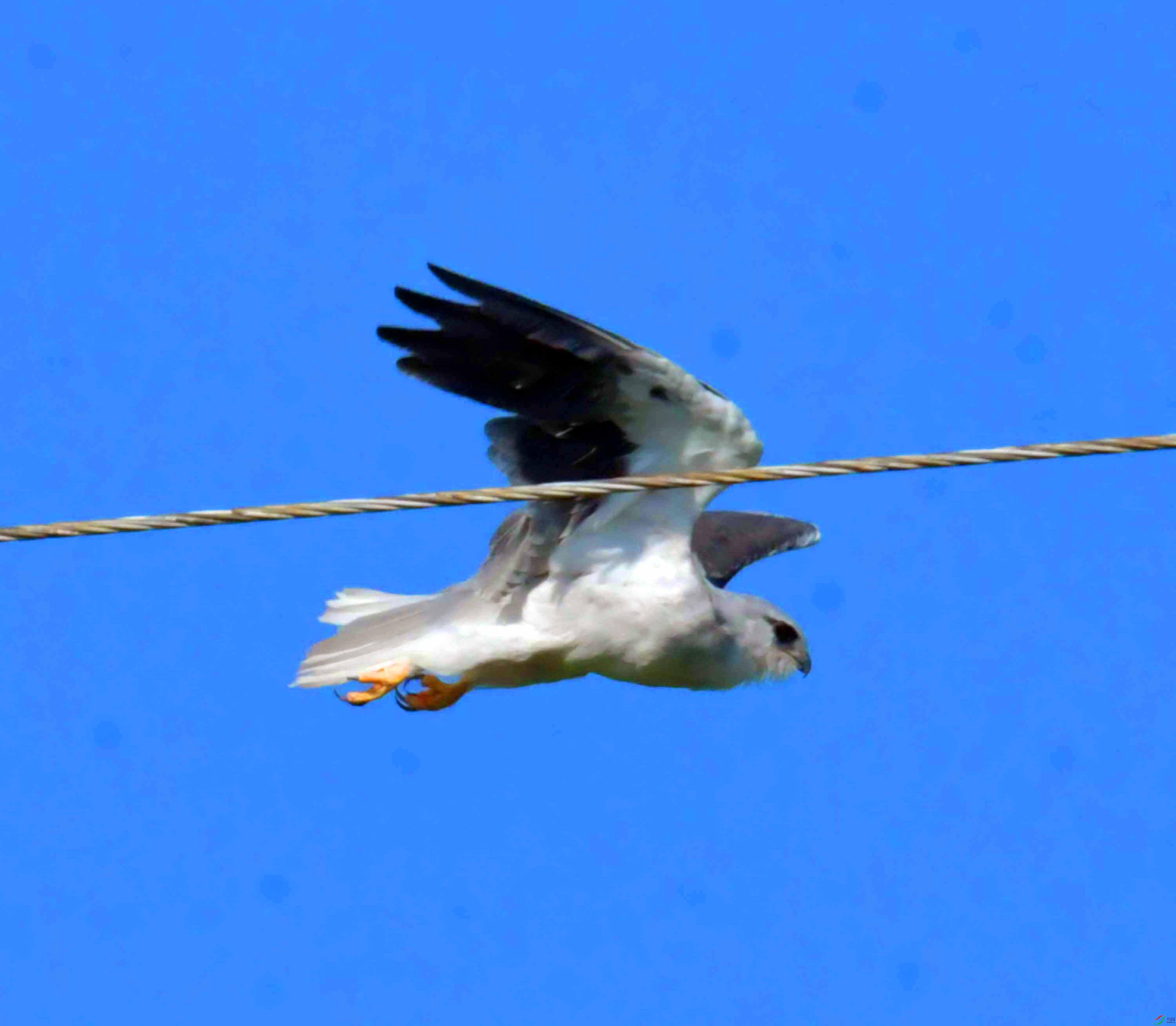 DSC_5801.JPG