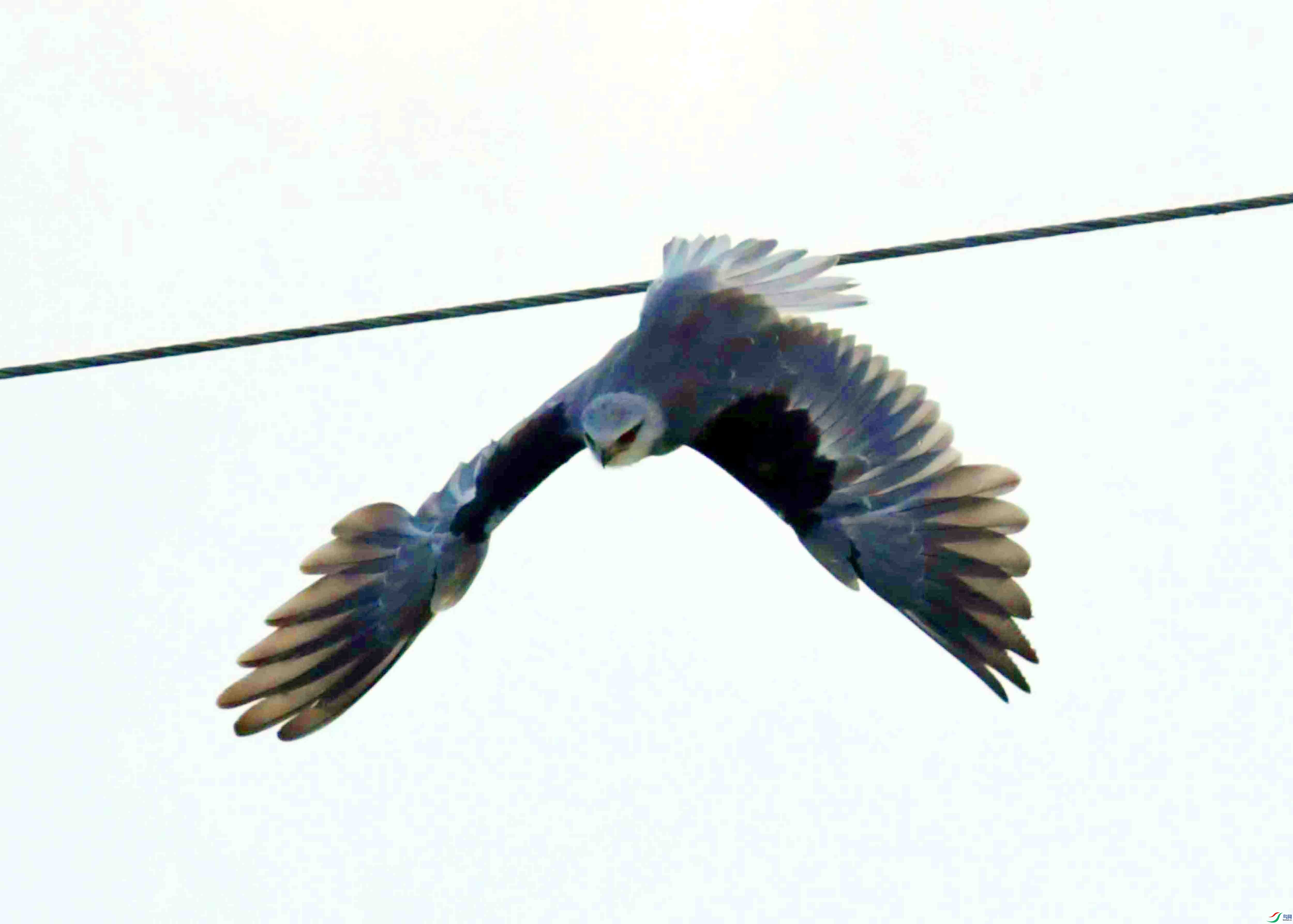 DSC_5504.JPG