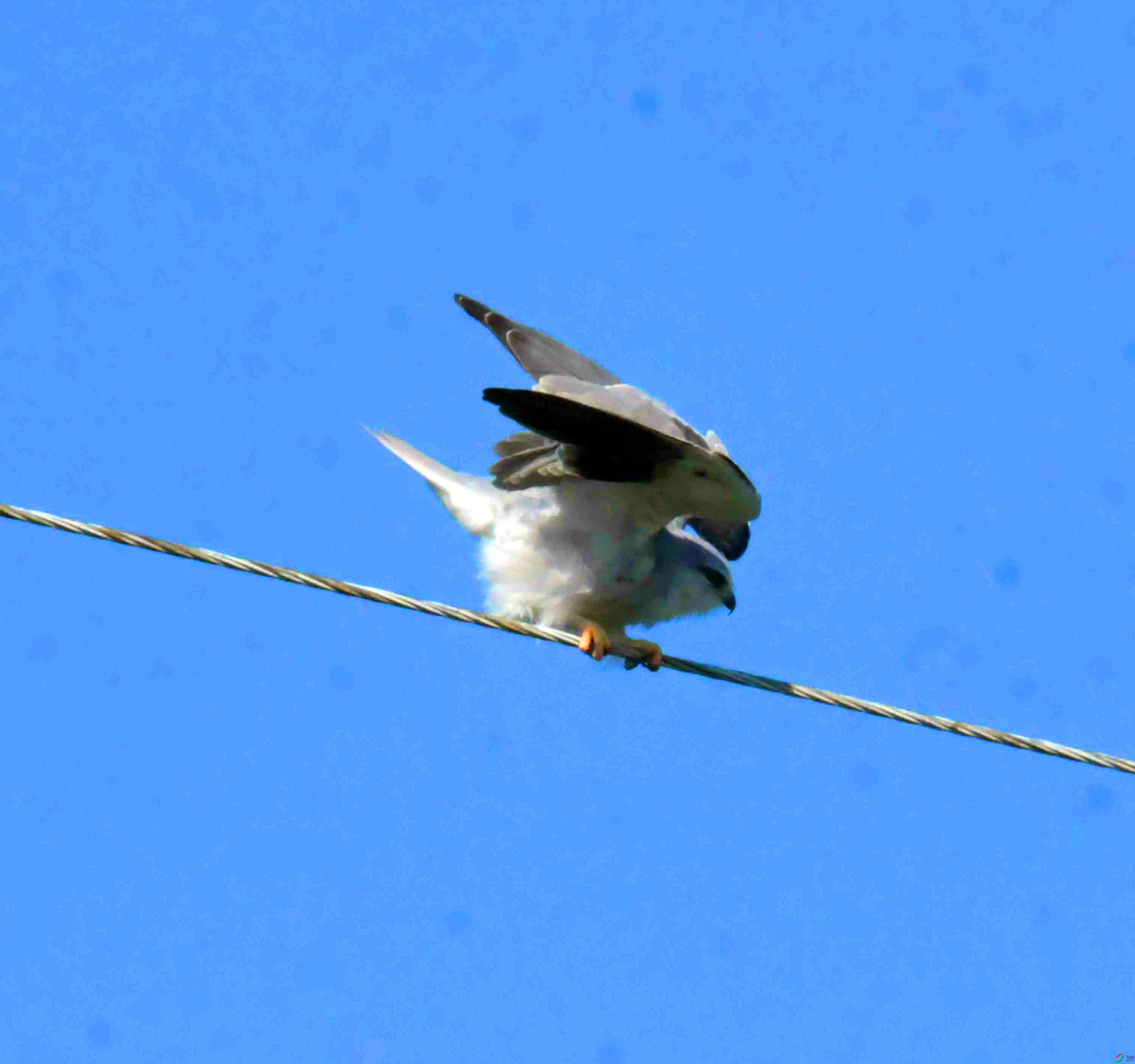 DSC_5873.JPG