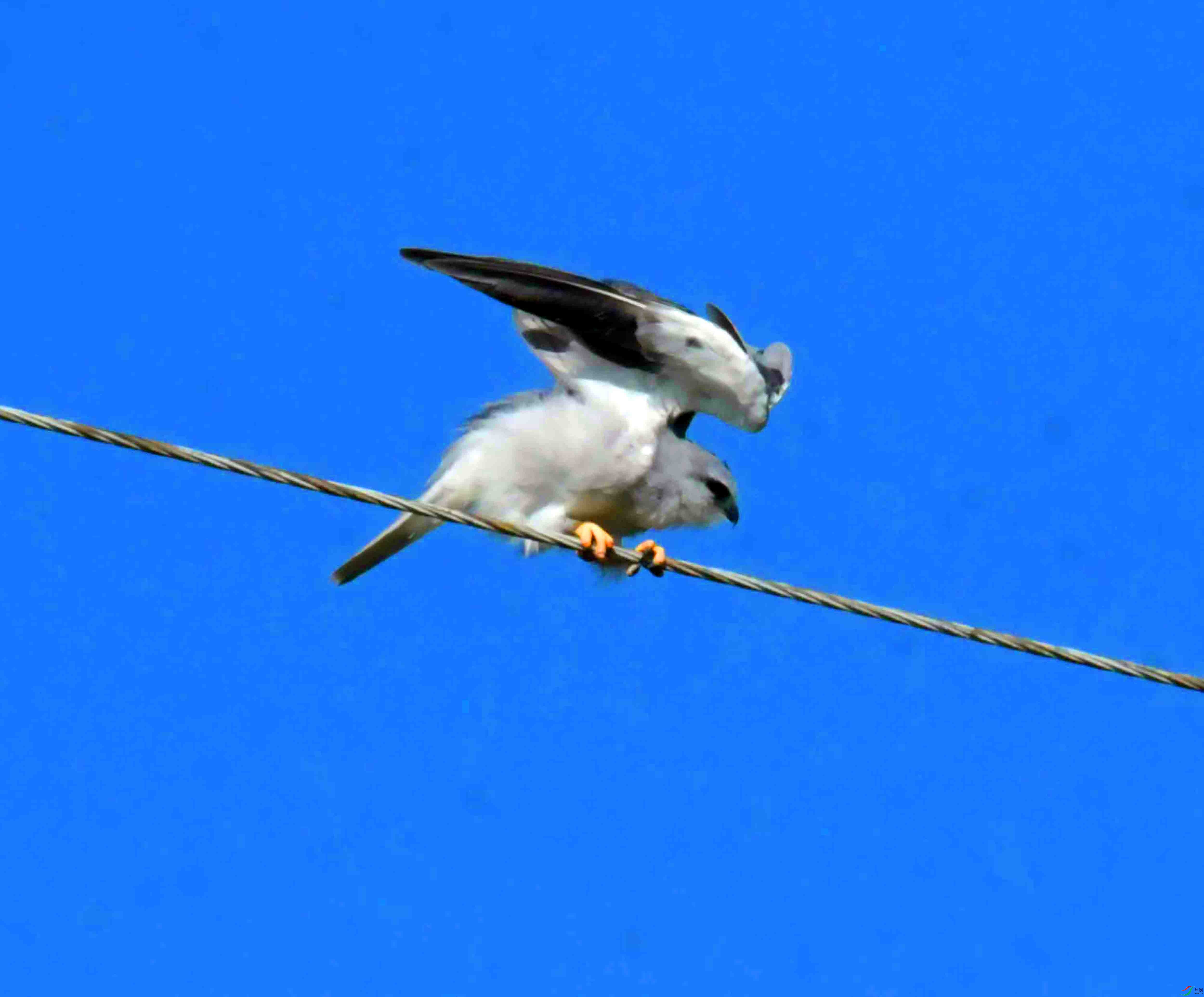 DSC_5871.JPG