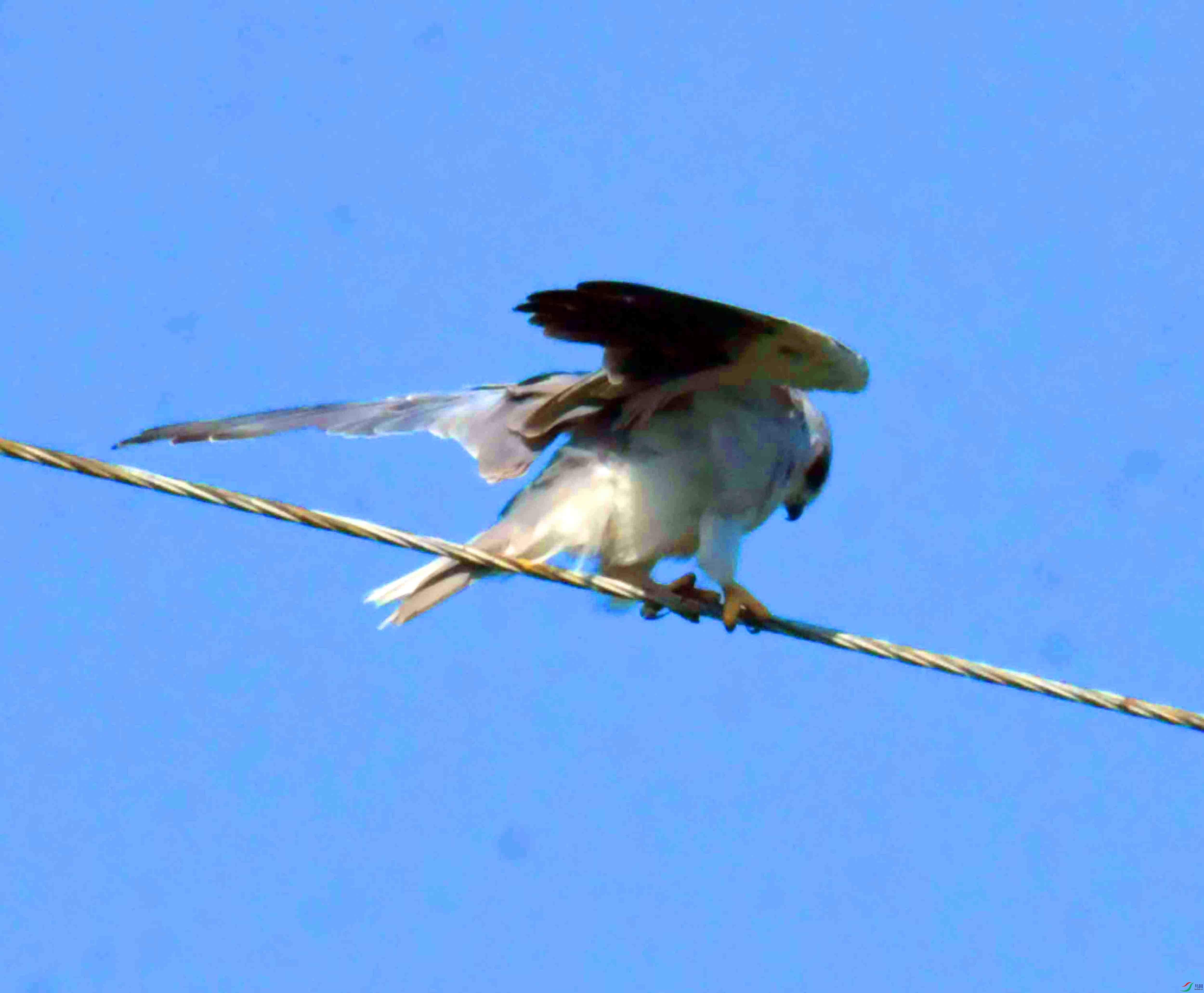 DSC_5884.JPG