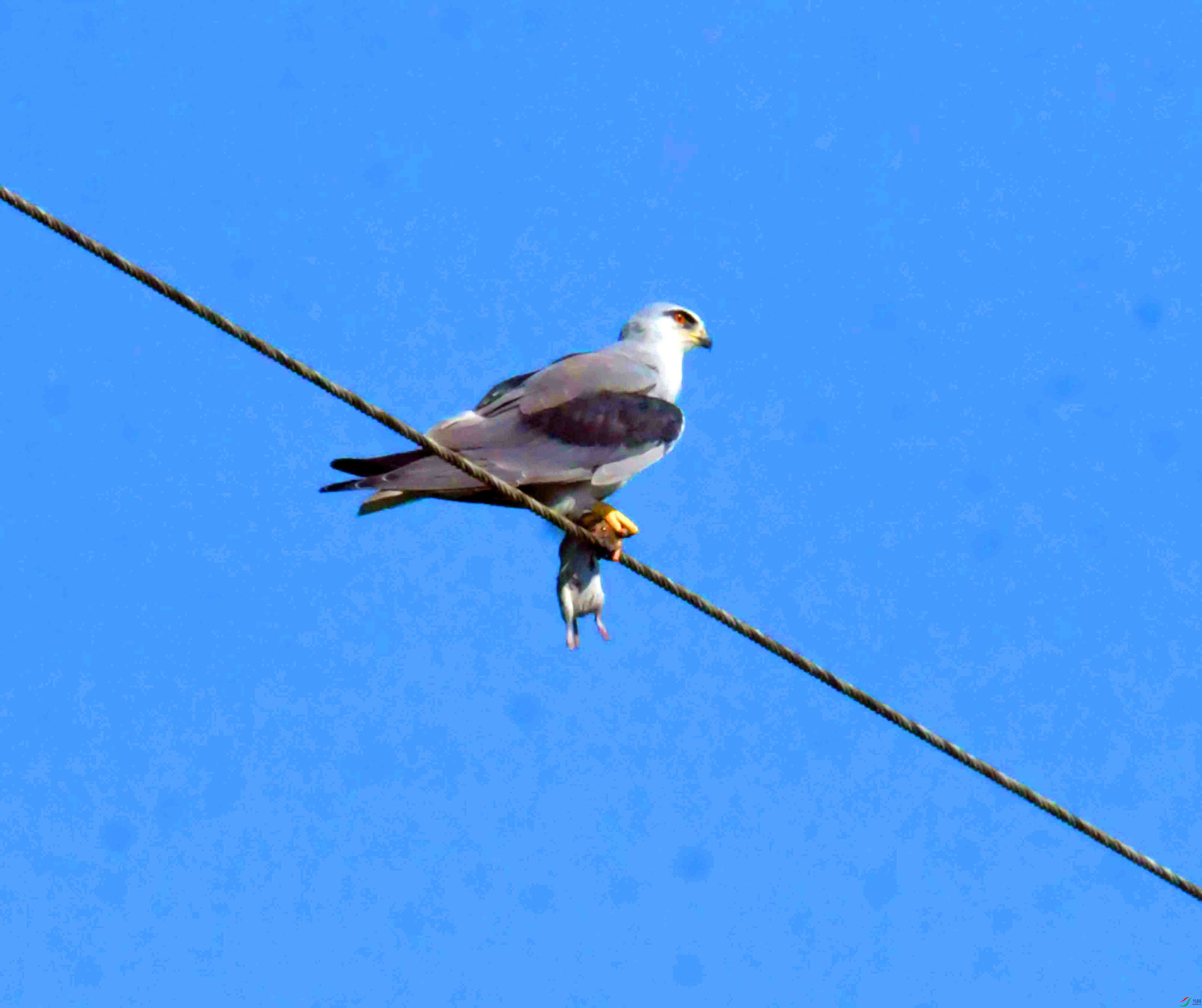 DSC_5925.JPG
