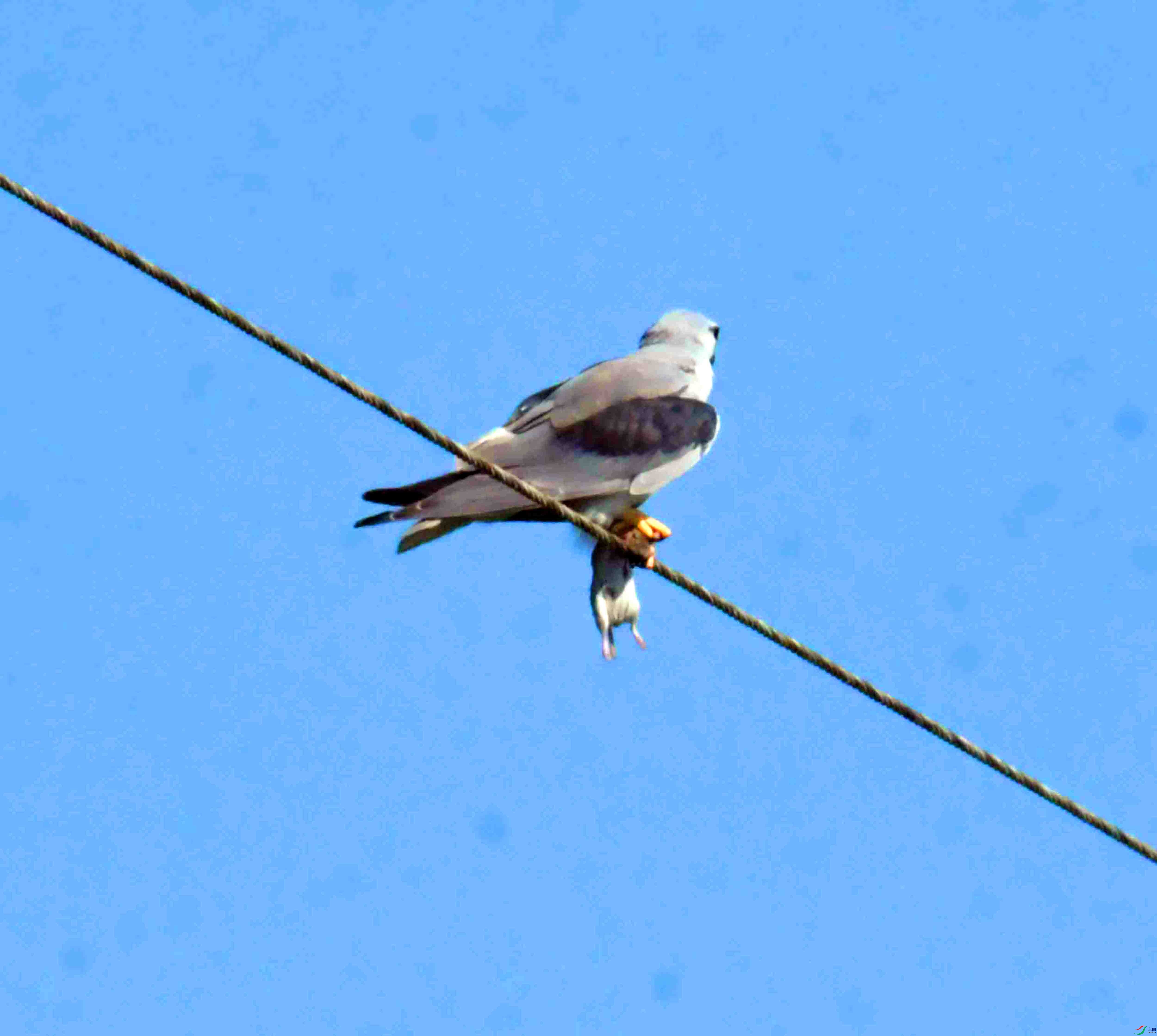 DSC_5929.JPG