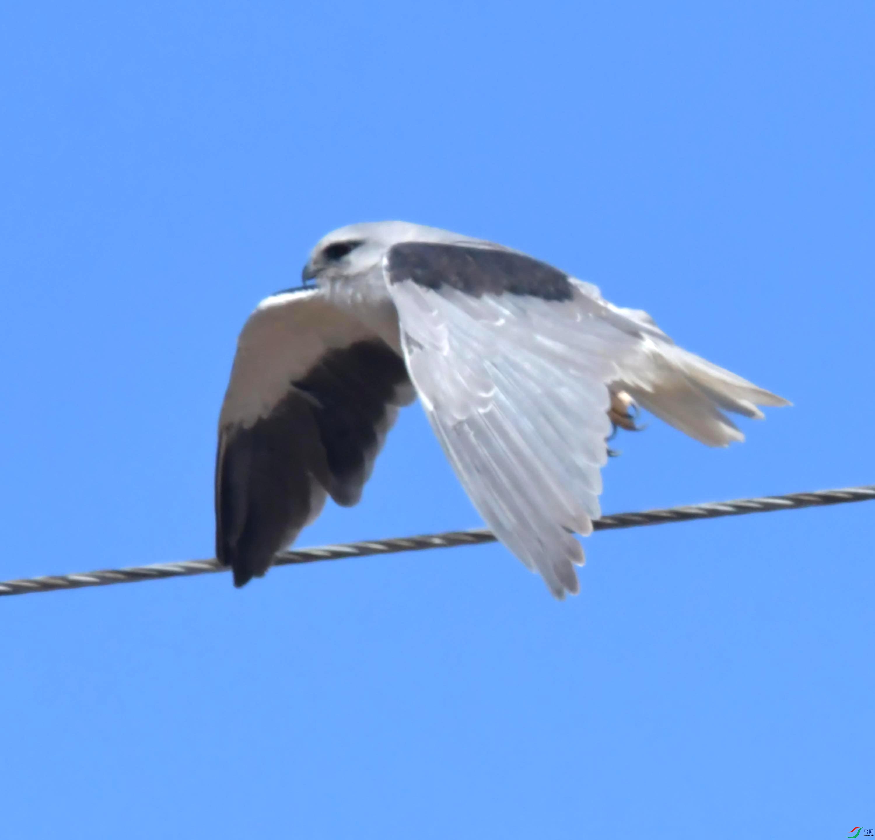 DSC_8768.JPG