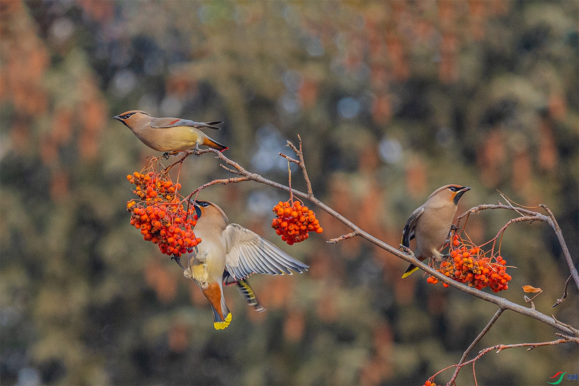 1K3A7978 ����1.jpg