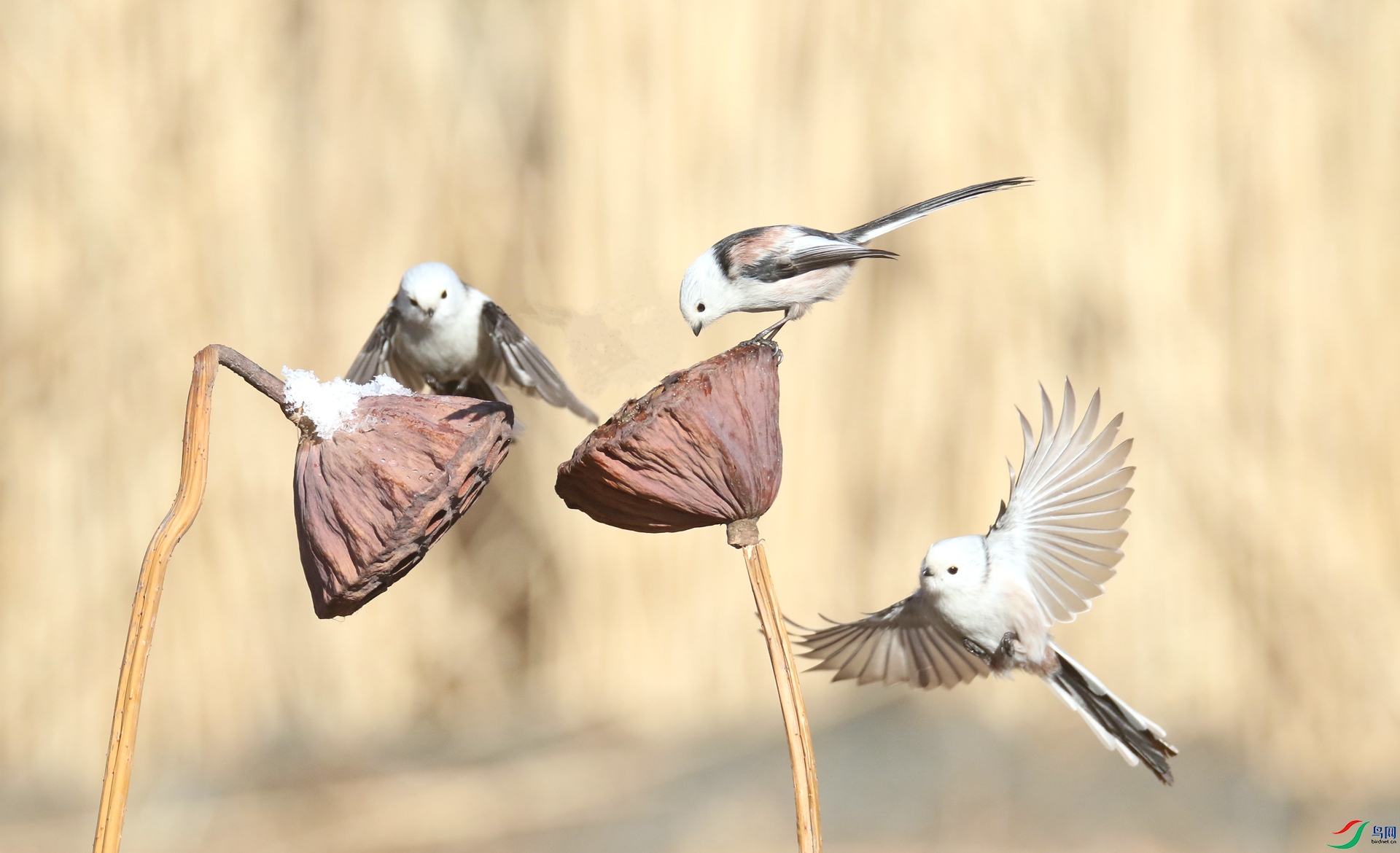 0G1A8950 ����.jpg